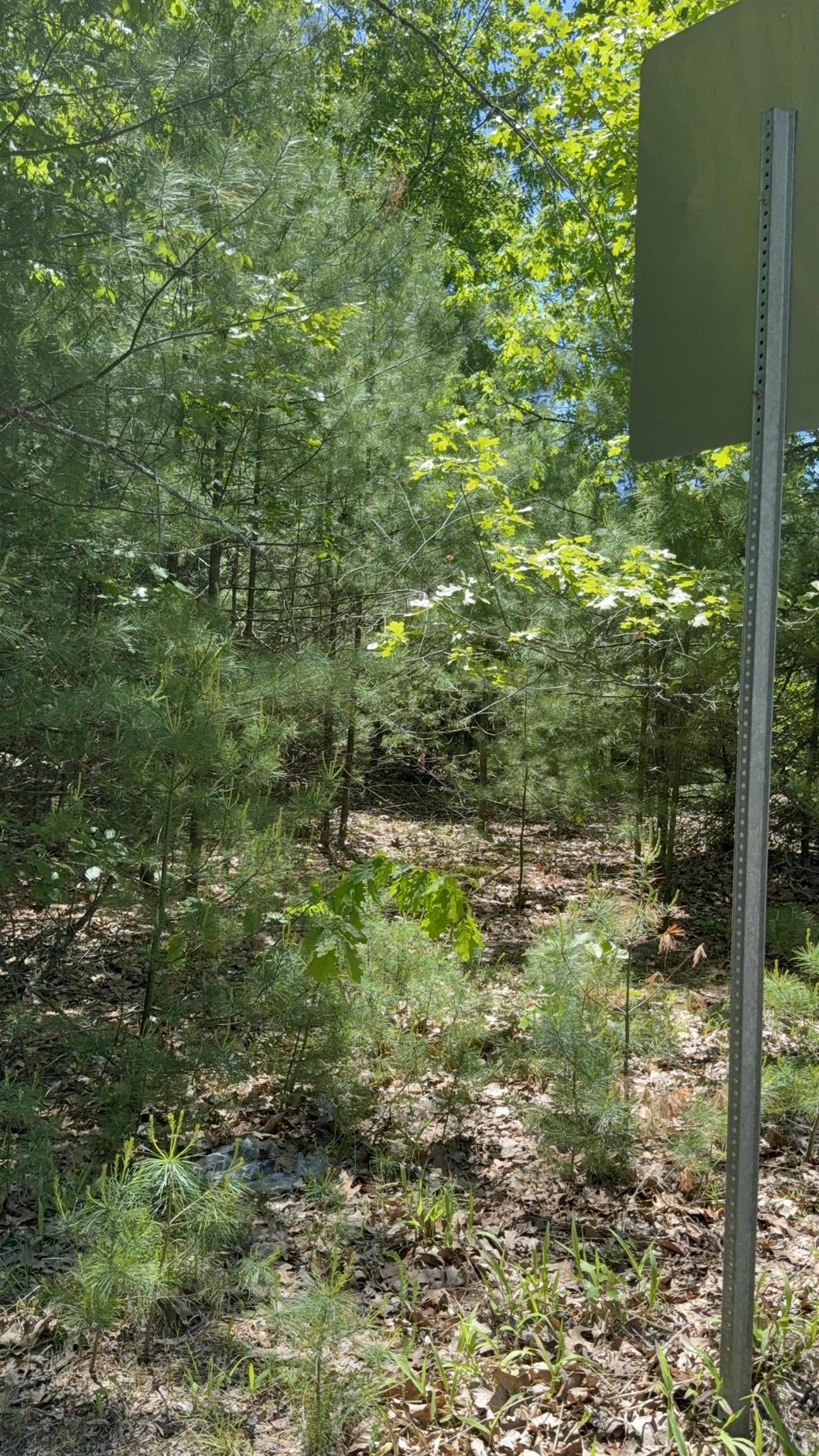 Lot 33, 34, 35 Washington Street Property Photo 9
