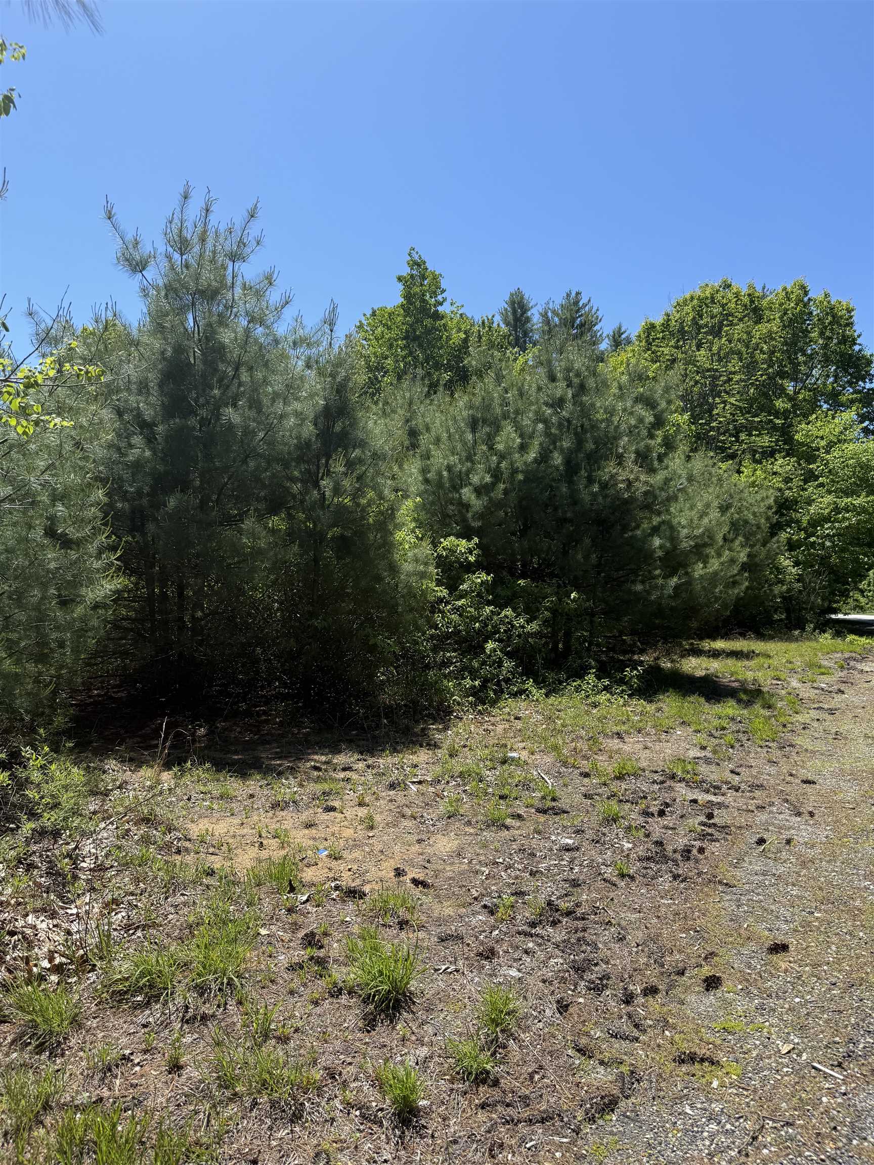 Lot 33, 34, 35 Washington Street Property Photo 10