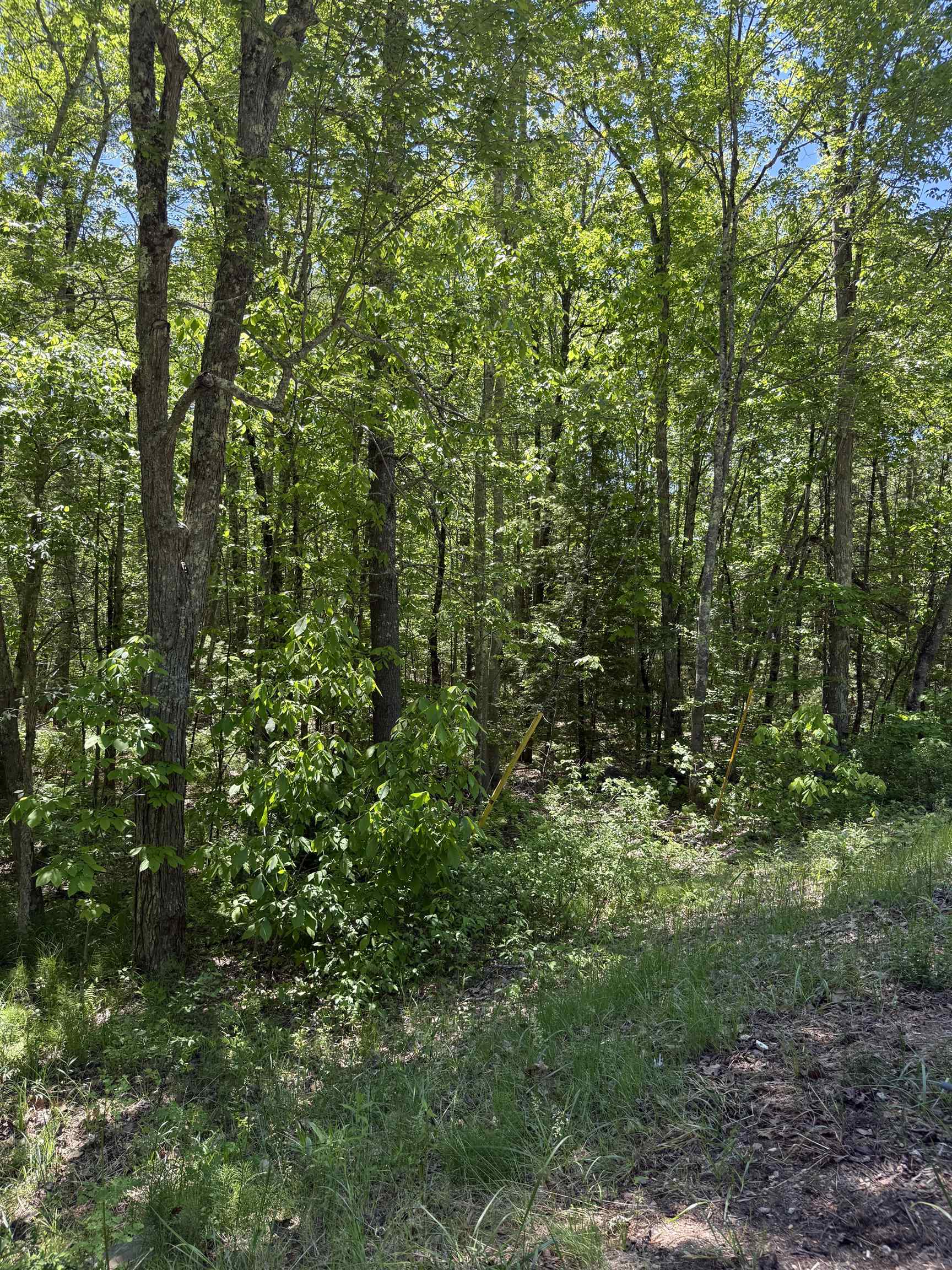 Lot 33, 34, 35 Washington Street Property Photo 12