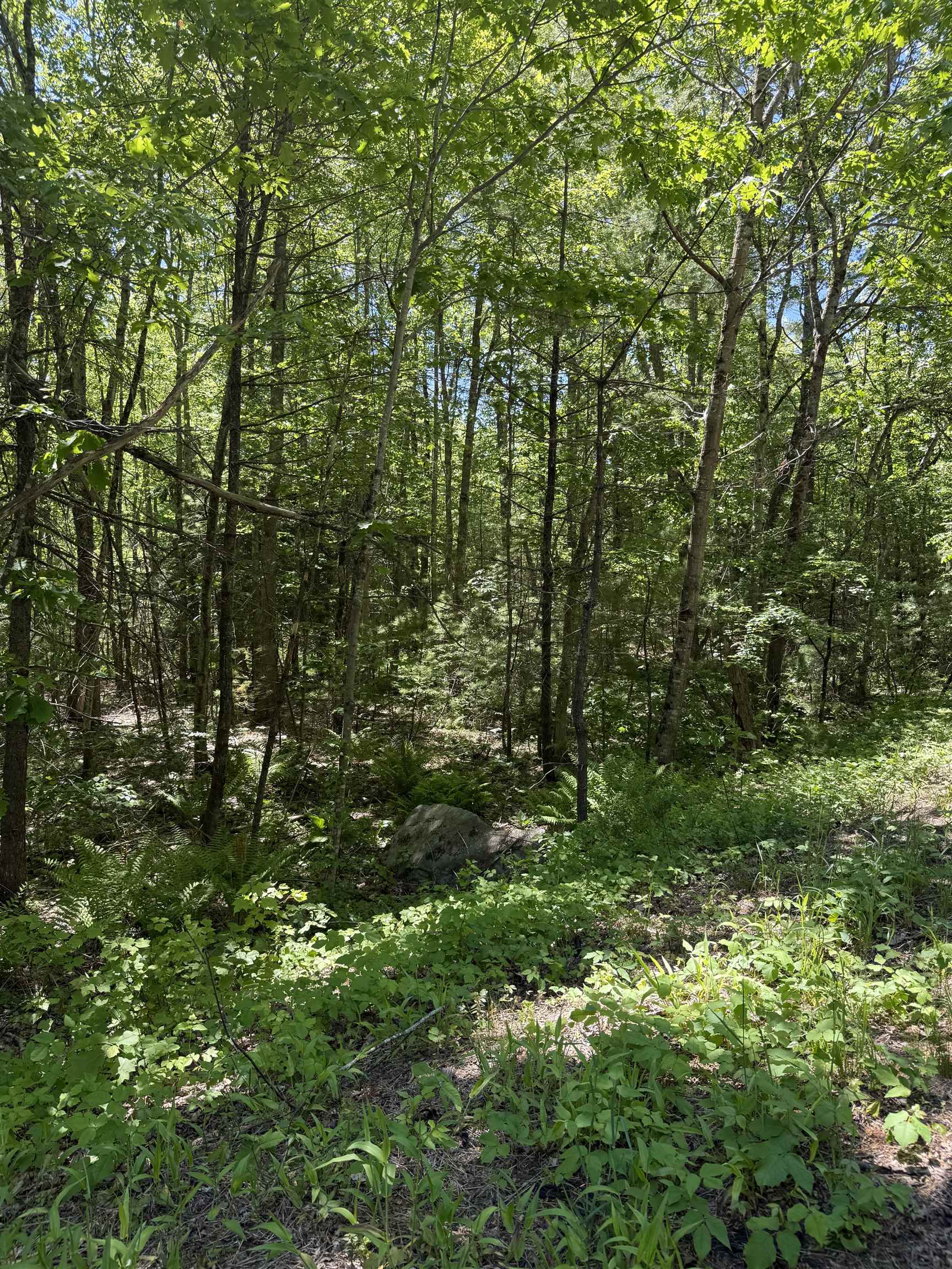 Lot 33, 34, 35 Washington Street Property Photo 13