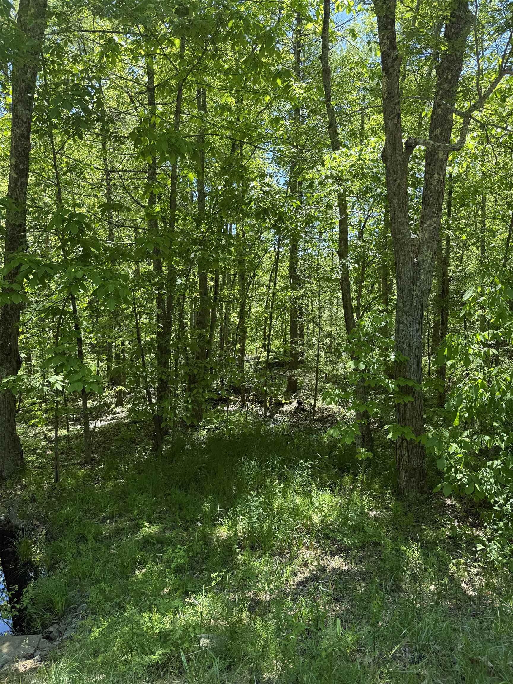 Lot 33, 34, 35 Washington Street Property Photo 15