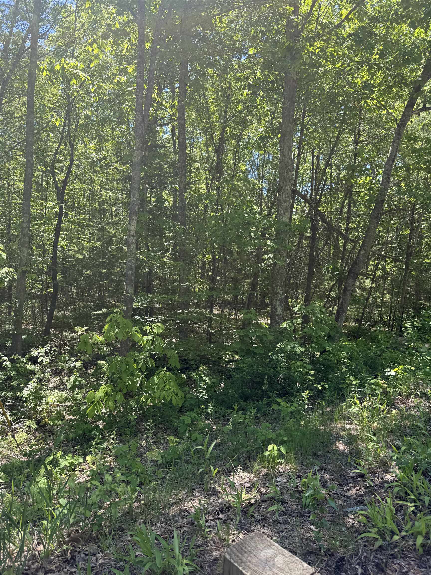Lot 33, 34, 35 Washington Street Property Photo 16