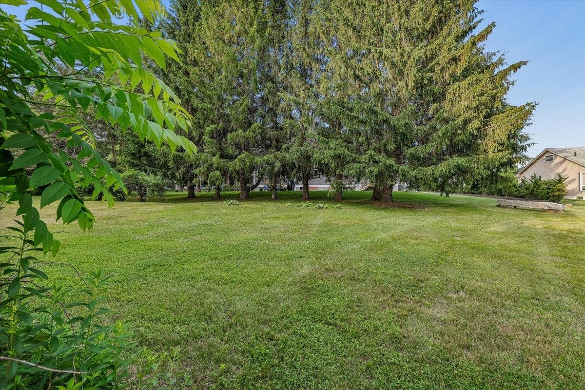 214 Pembroke Street Property Photo 51