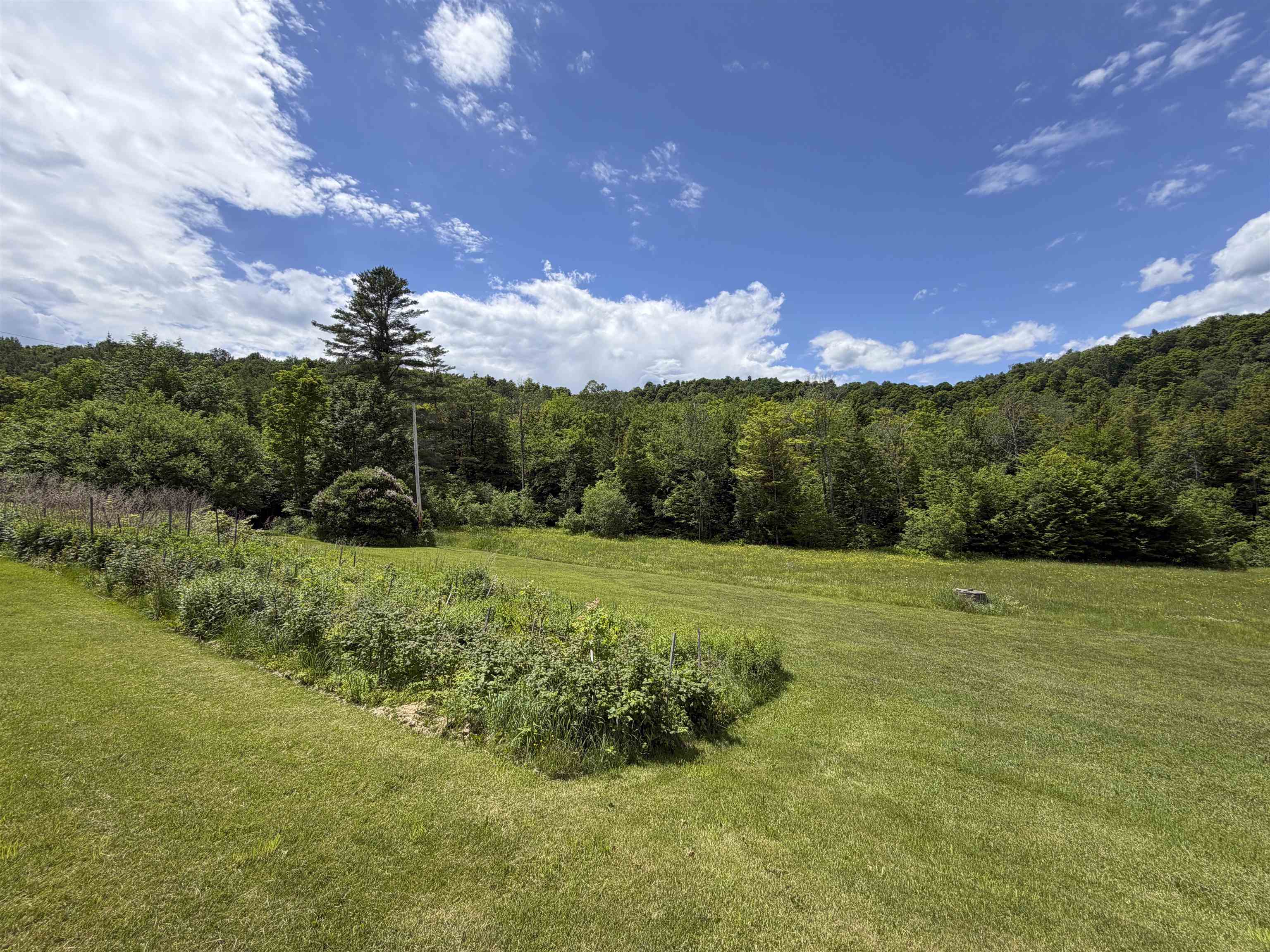 1110 Parker Road Property Photo 3