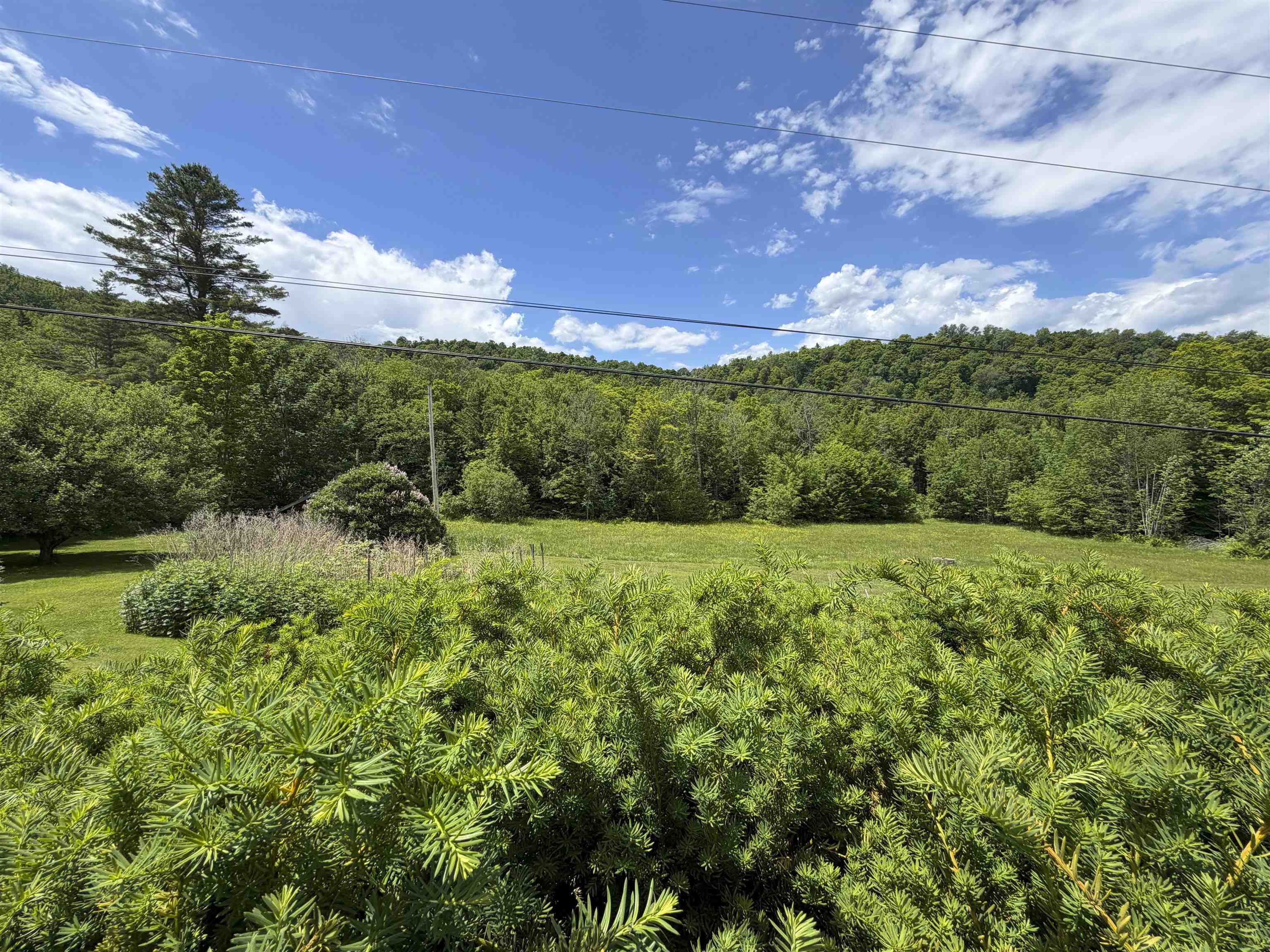 1110 Parker Road Property Photo 4