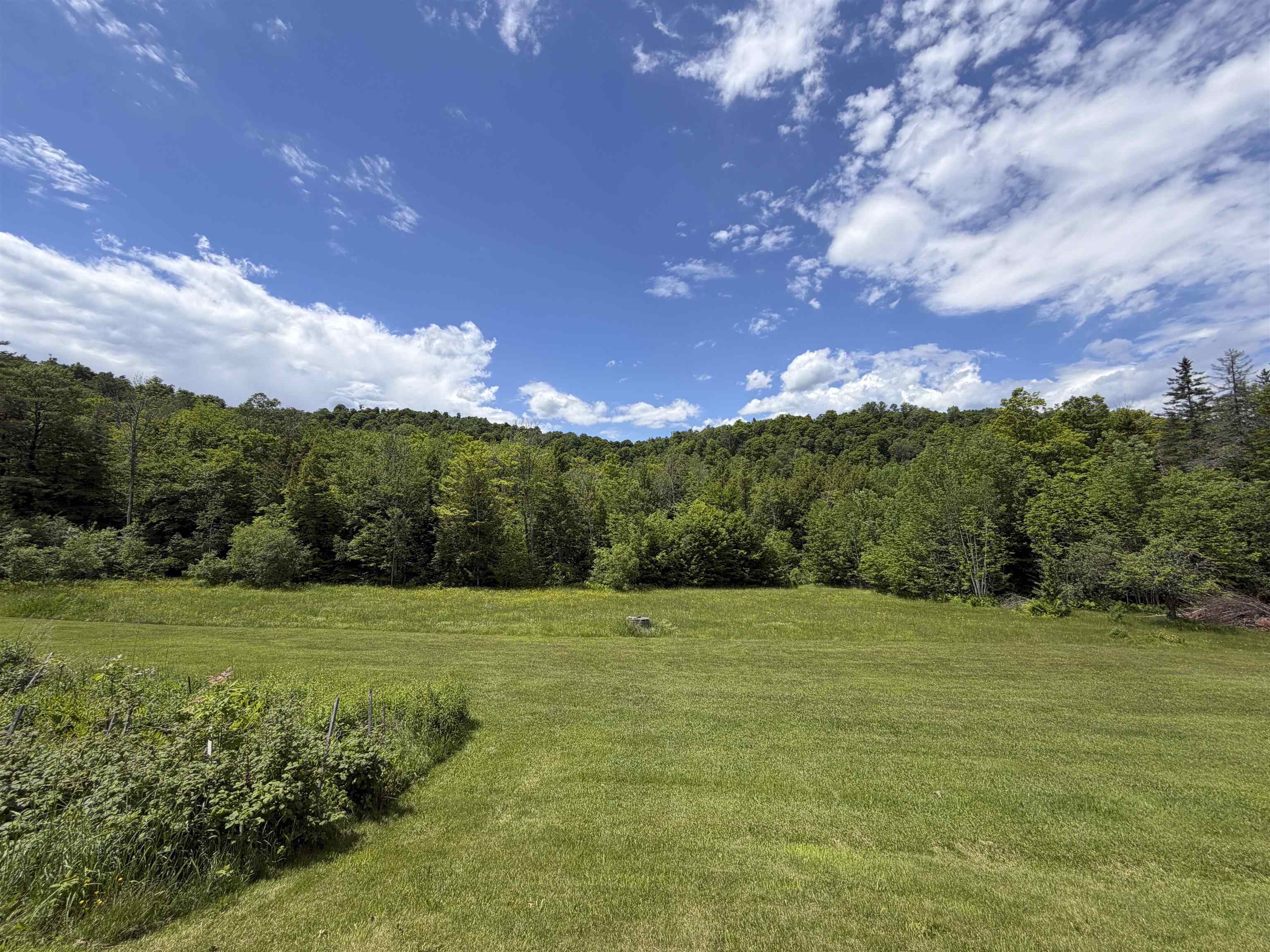 1110 Parker Road Property Photo 5