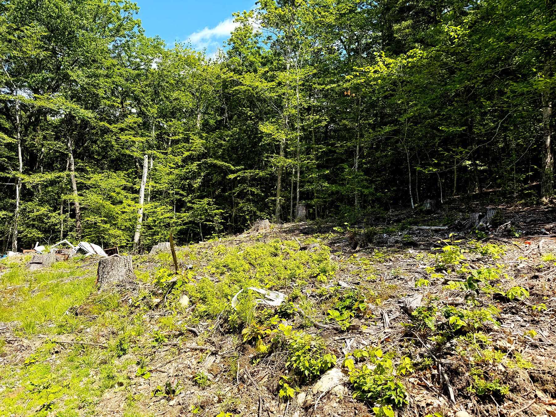 Tm 132 L 91 Buck Lane Property Photo 11