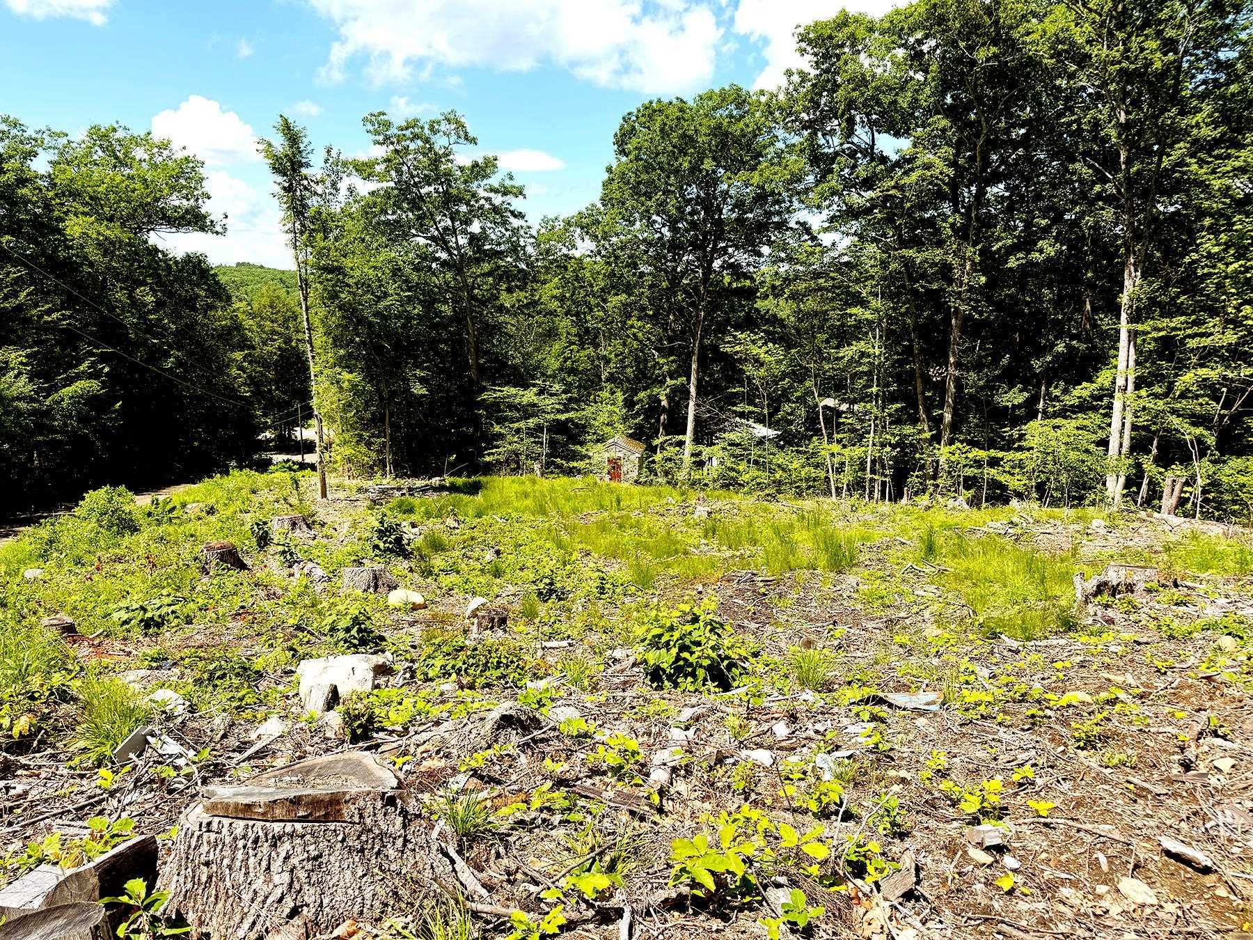 Tm 132 L 91 Buck Lane Property Photo 12