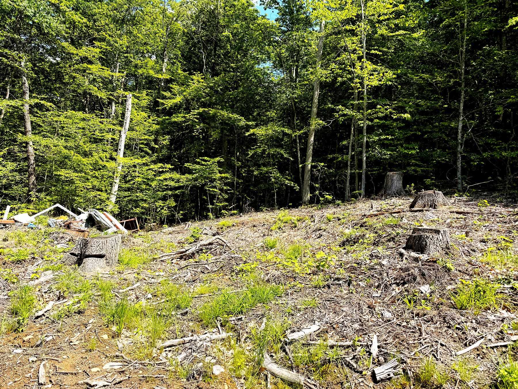 Tm 132 L 91 Buck Lane Property Photo 13