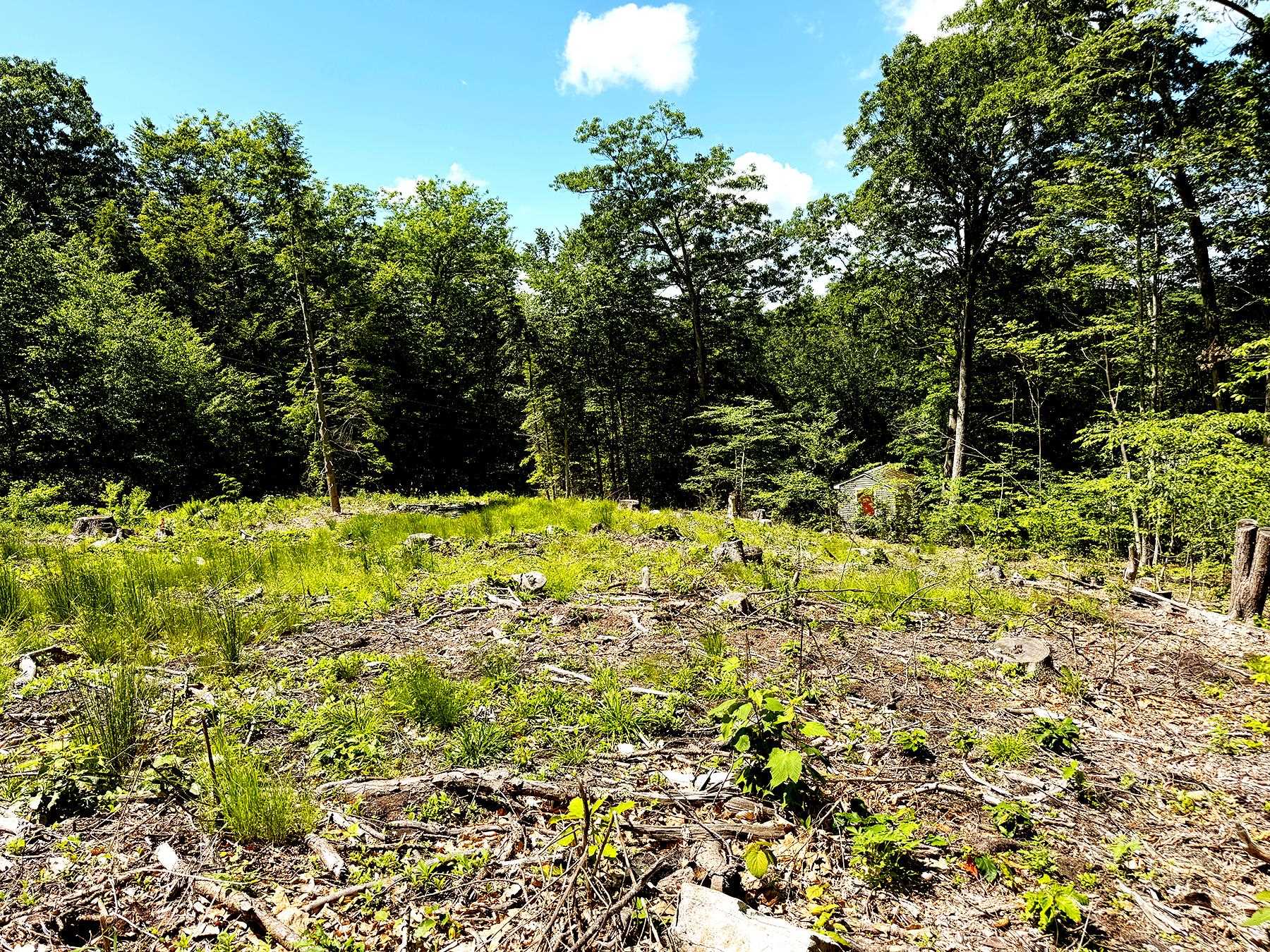 Tm 132 L 91 Buck Lane Property Photo 14