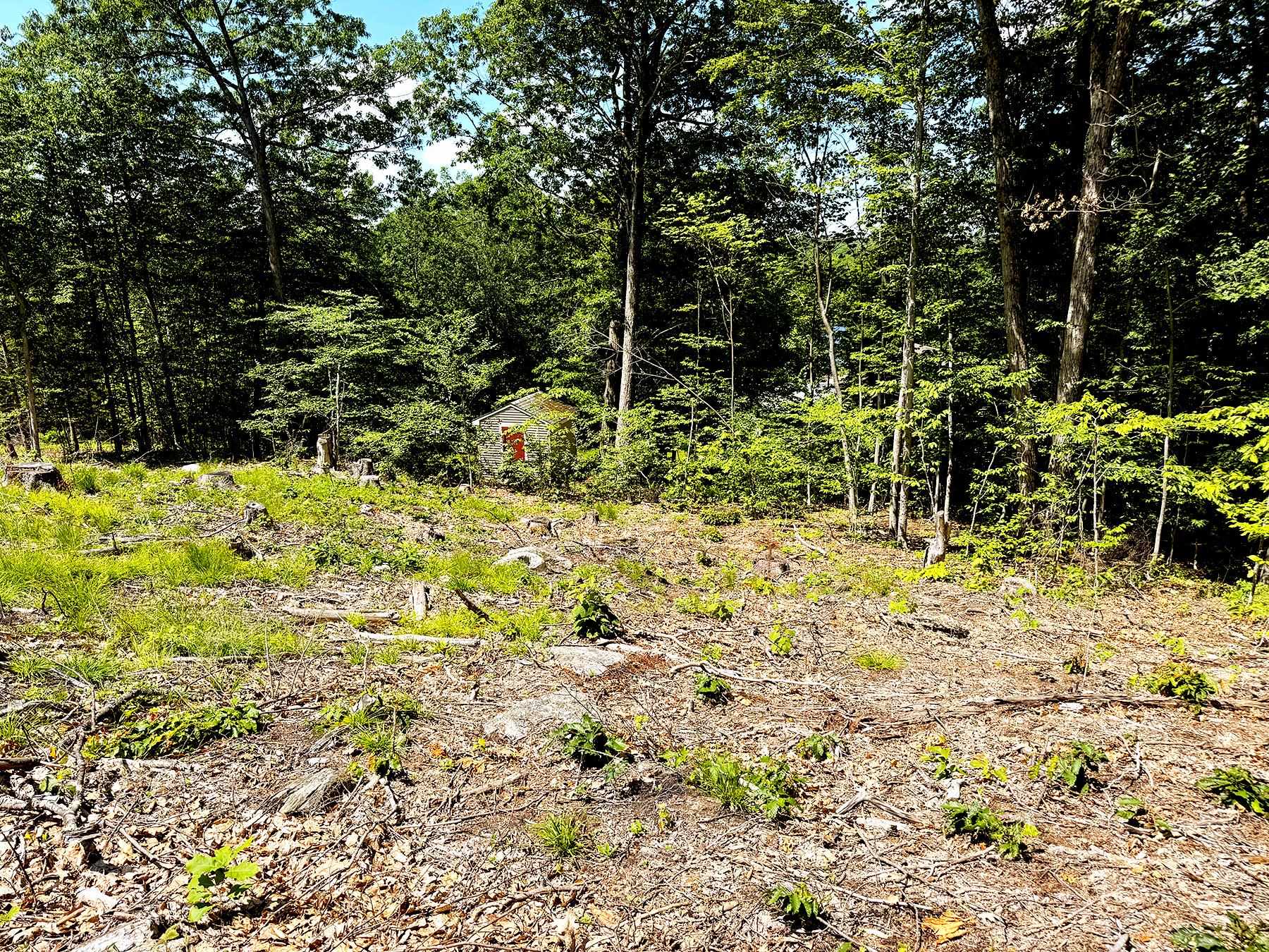 Tm 132 L 91 Buck Lane Property Photo 15