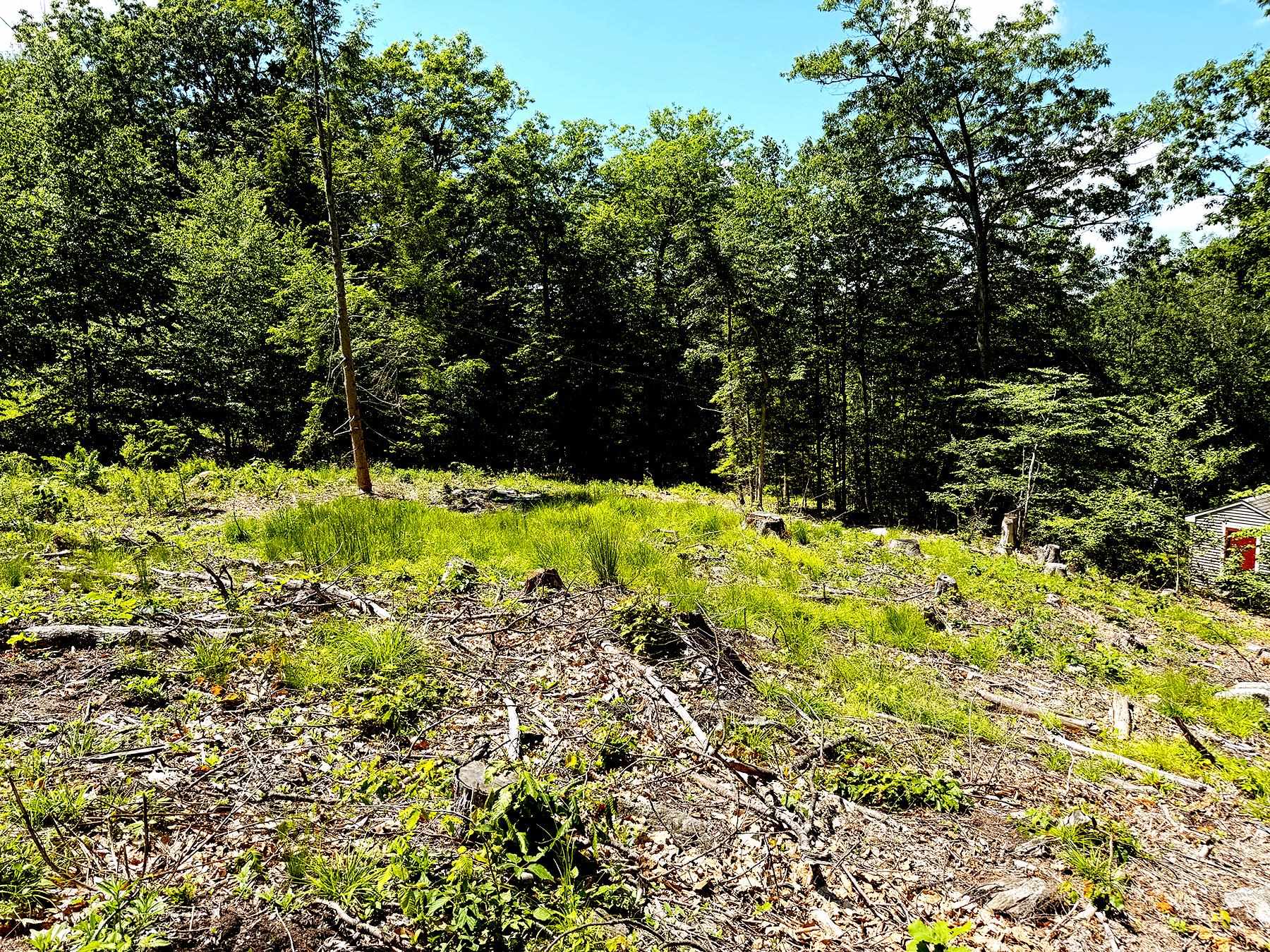 Tm 132 L 91 Buck Lane Property Photo 16