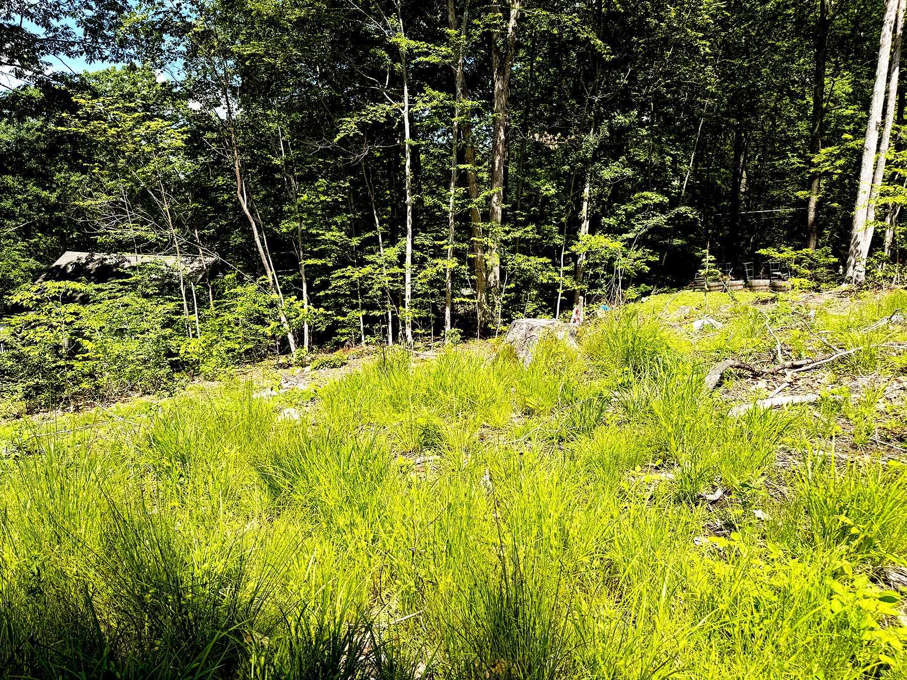 Tm 132 L 91 Buck Lane Property Photo 17