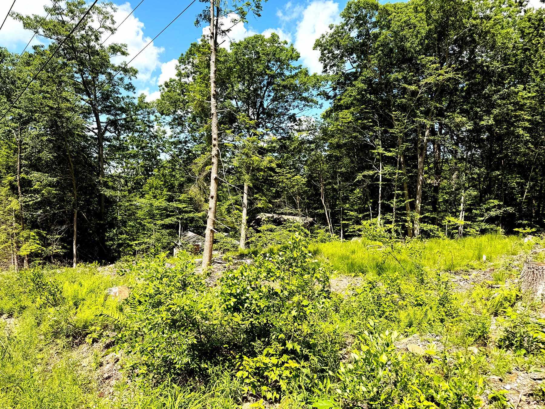 Tm 132 L 91 Buck Lane Property Photo 18