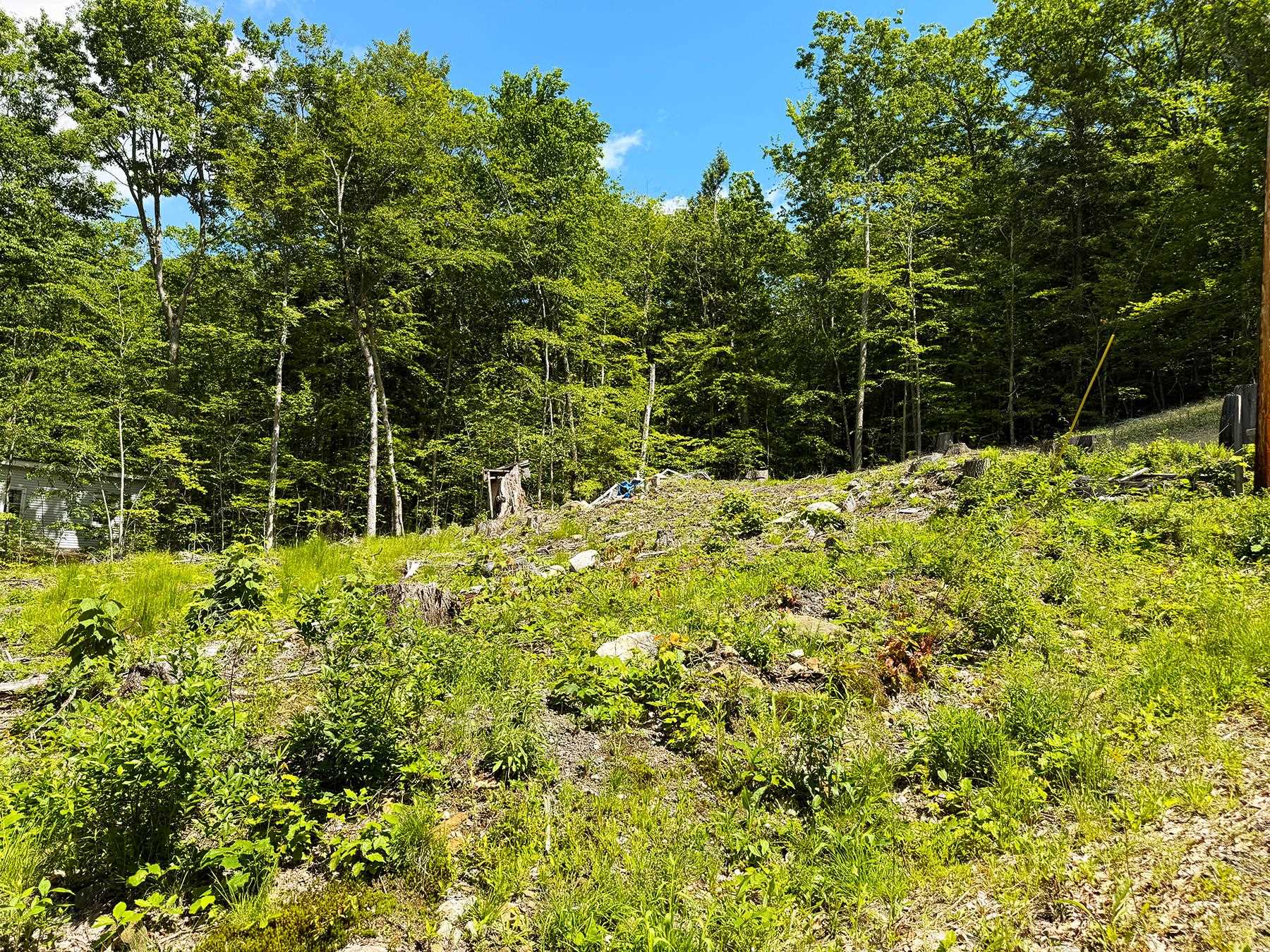 Tm 132 L 91 Buck Lane Property Photo 19