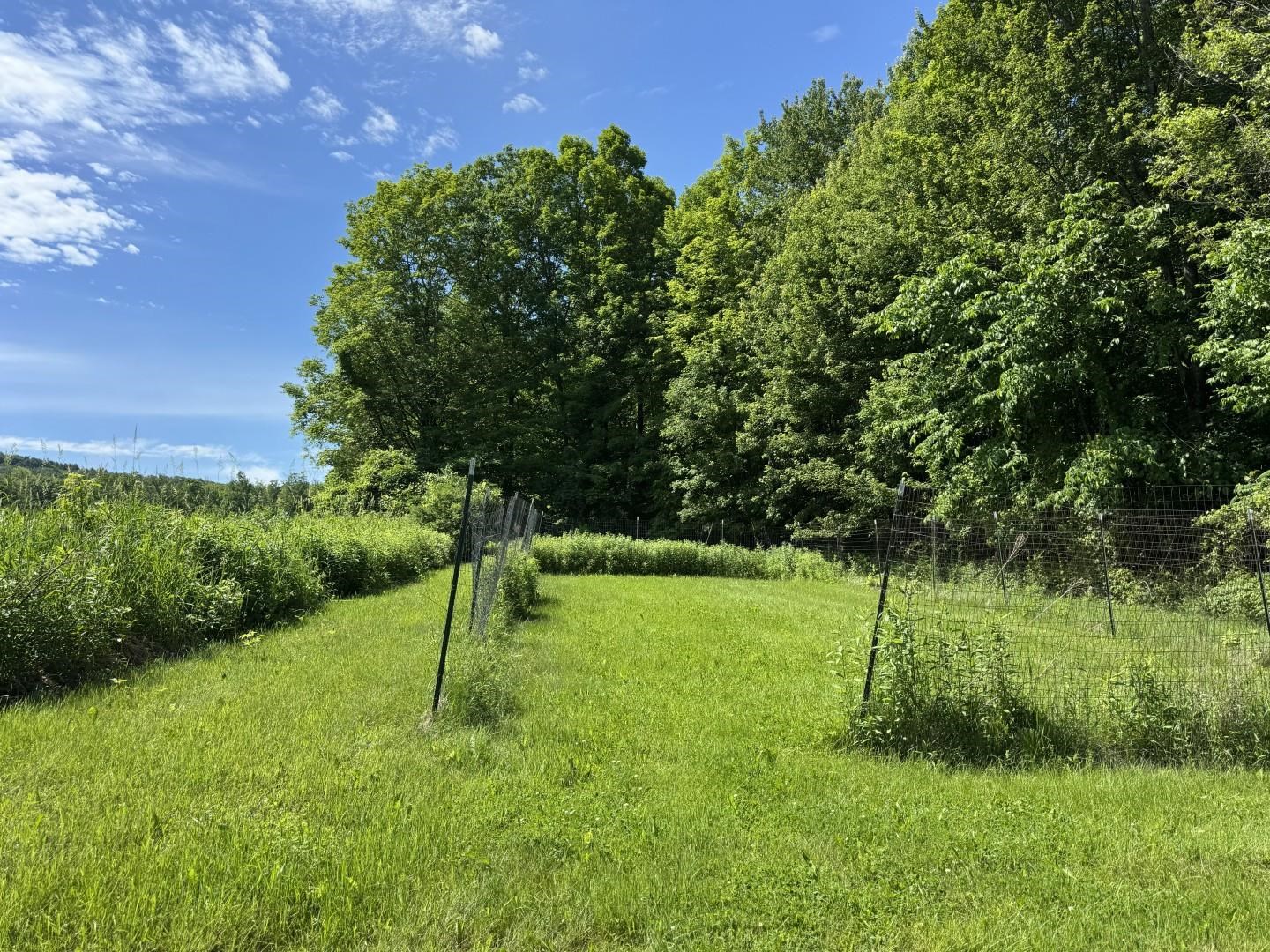 1198 Georgia Mountain Road Property Photo 17