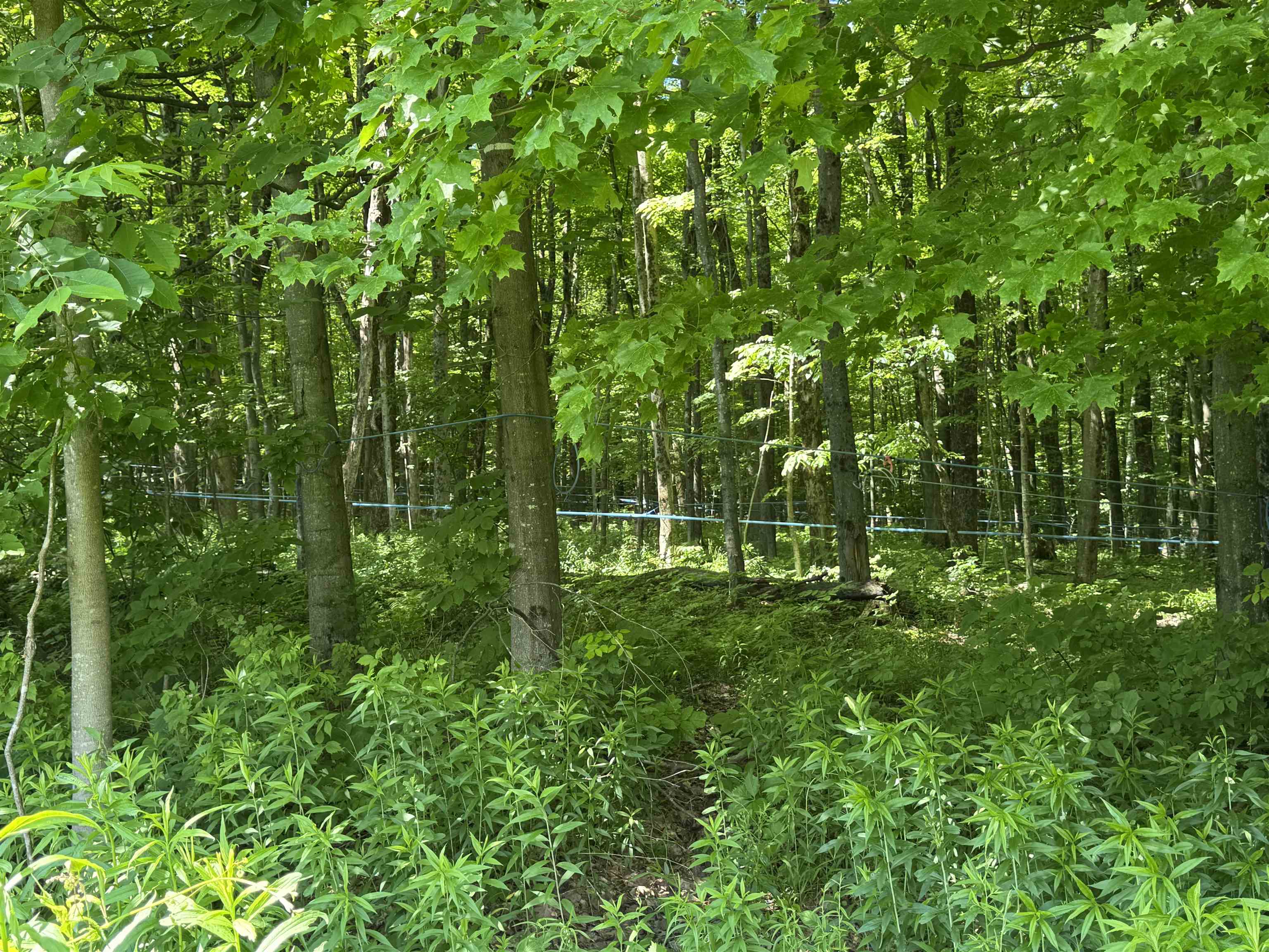 1198 Georgia Mountain Road Property Photo 18