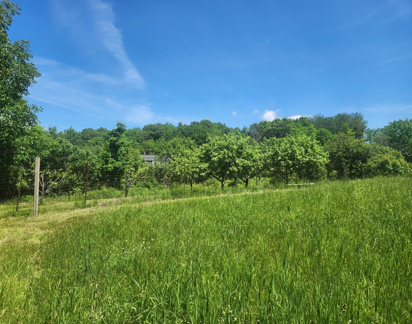 1198 Georgia Mountain Road Property Photo 20