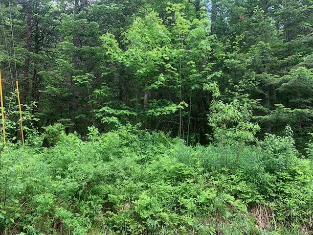 Tbd Griffin Road Property Photo 1