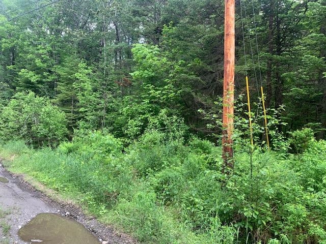 Tbd Griffin Road Property Photo 2