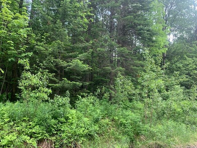 Tbd Griffin Road Property Photo 3