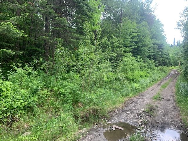 Tbd Griffin Road Property Photo 4