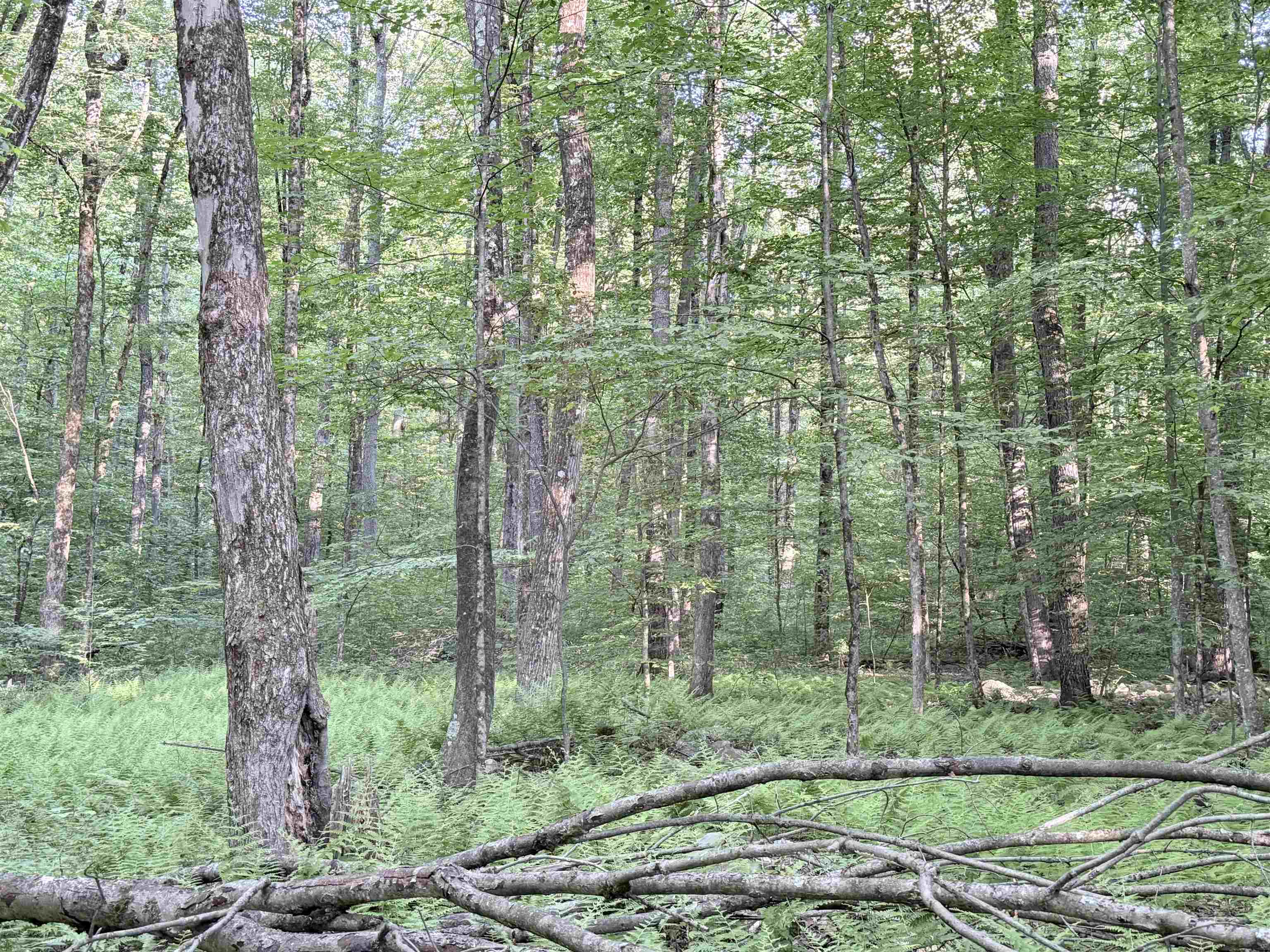 498 Town Line Road Property Photo 50