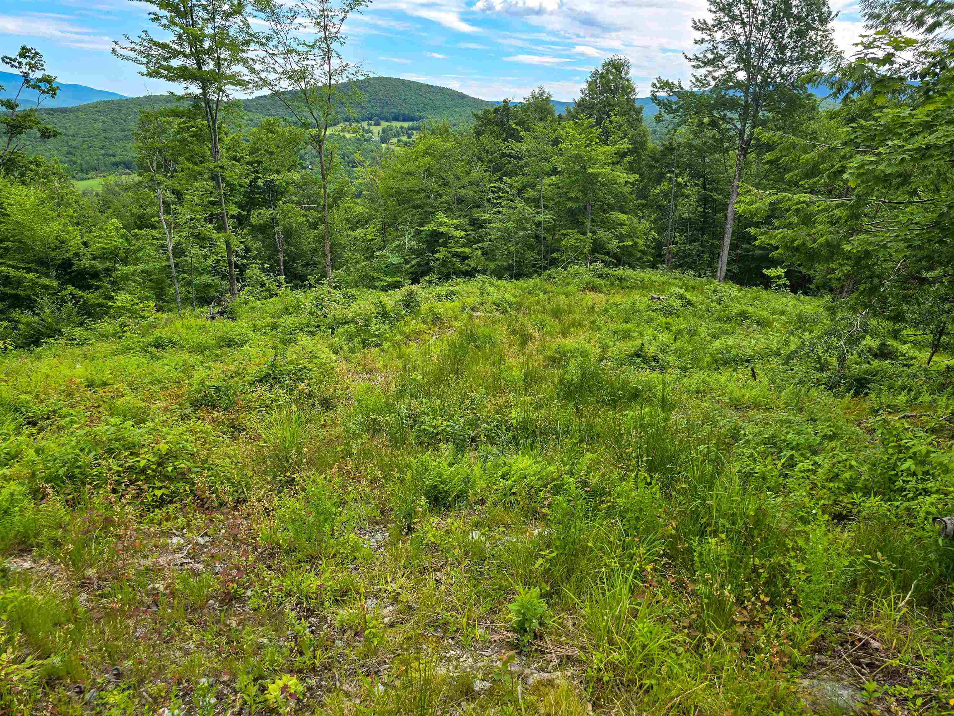 433 Wightman Hill Road Property Photo 11