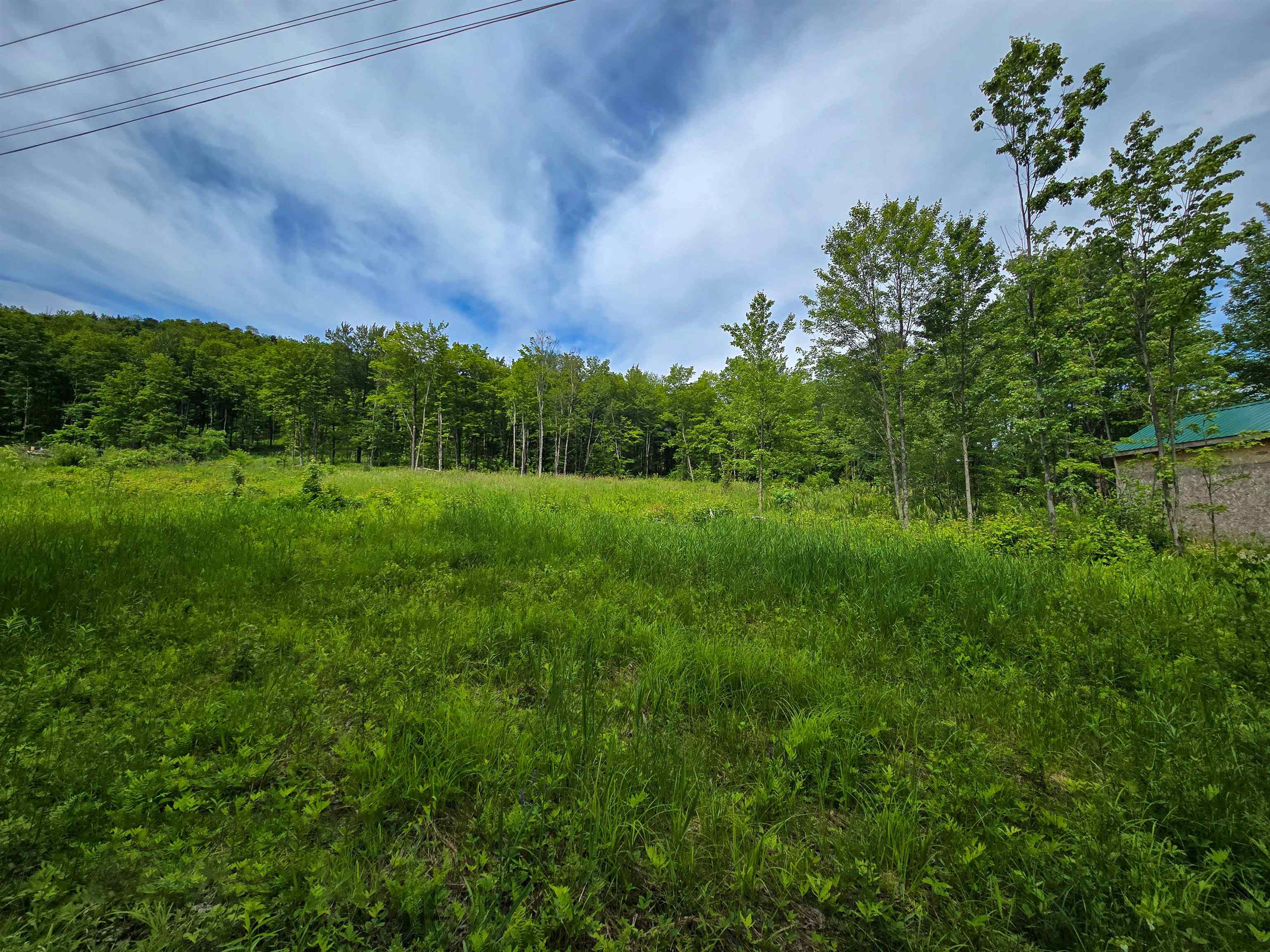 433 Wightman Hill Road Property Photo 12