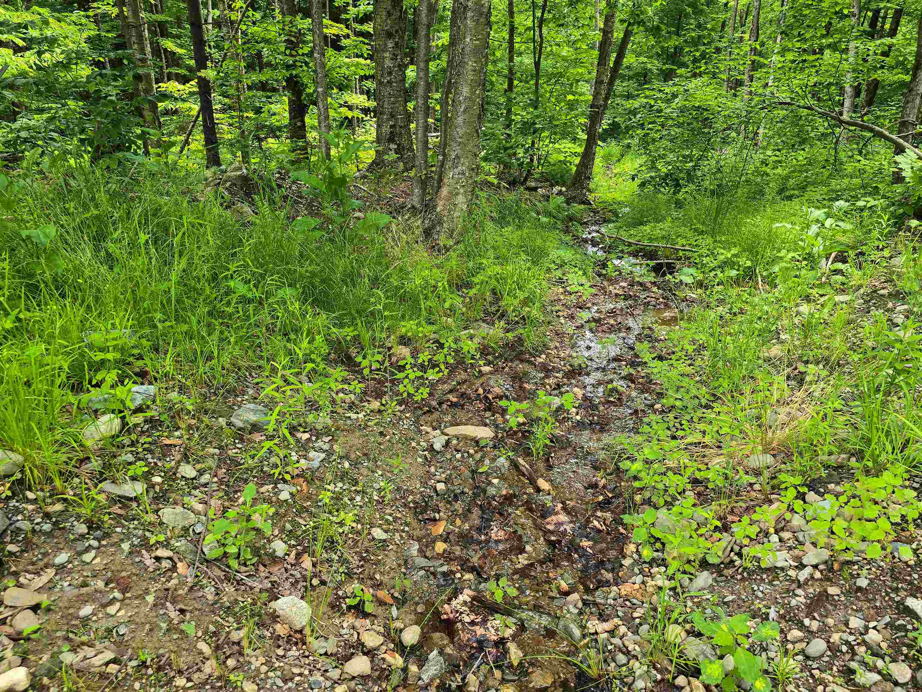 433 Wightman Hill Road Property Photo 14