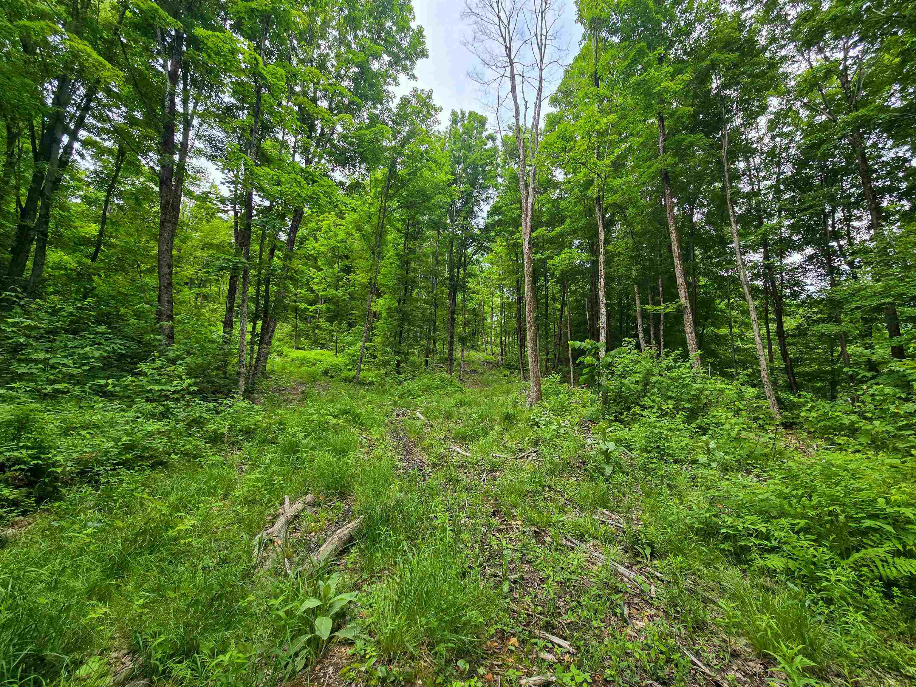 433 Wightman Hill Road Property Photo 16