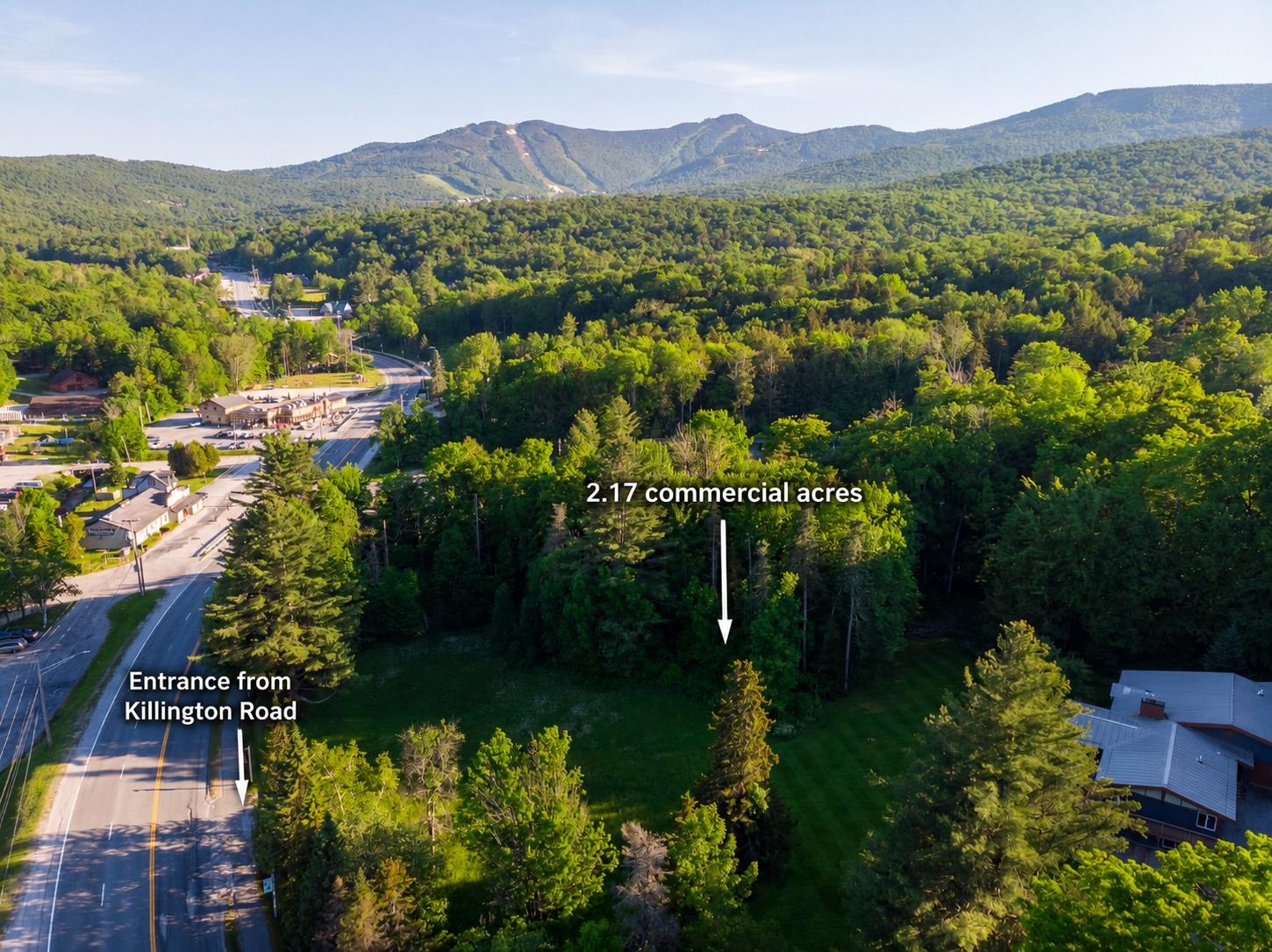 1678 Killington Road Property Photo 1