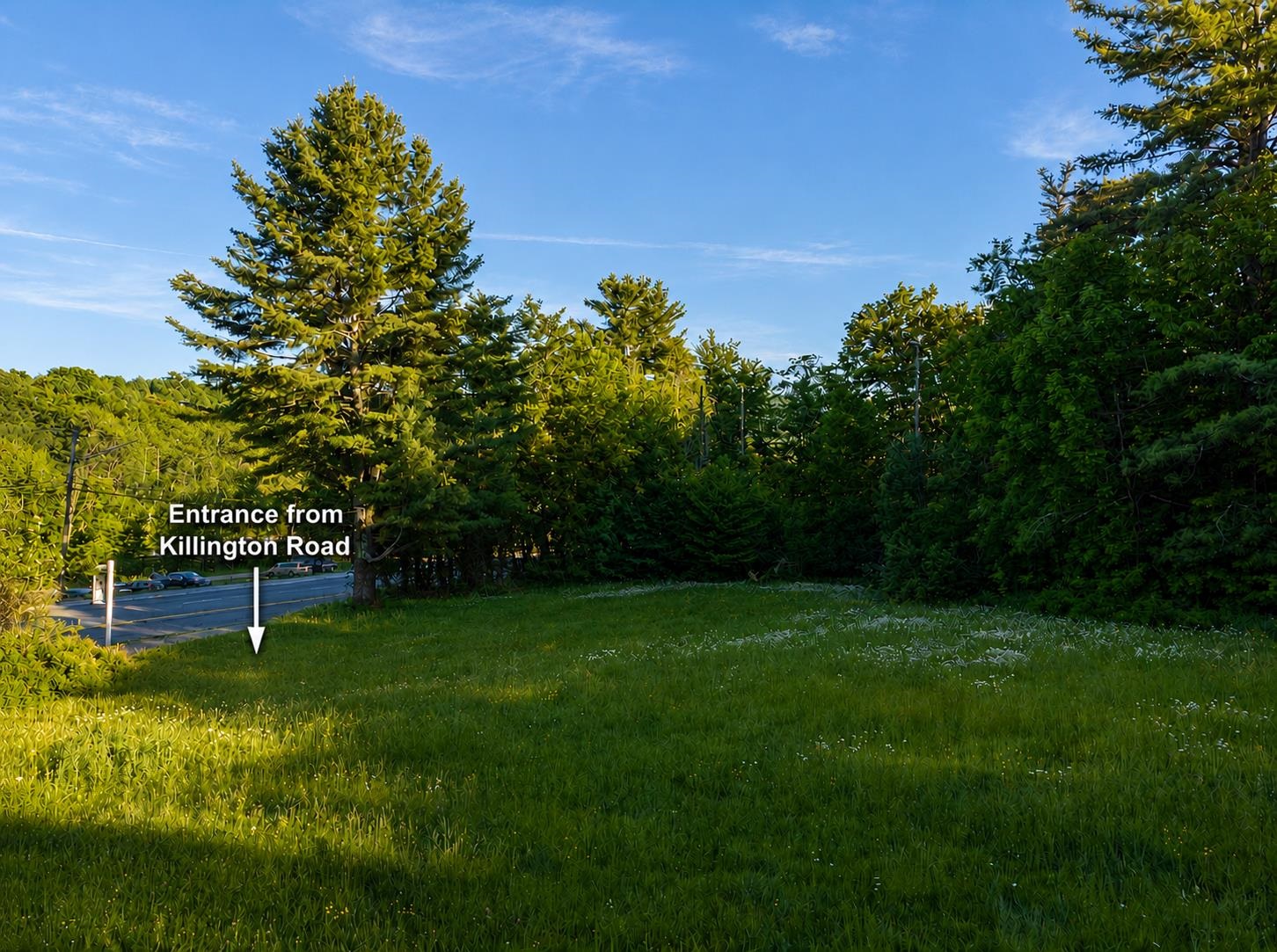 1678 Killington Road Property Photo 2