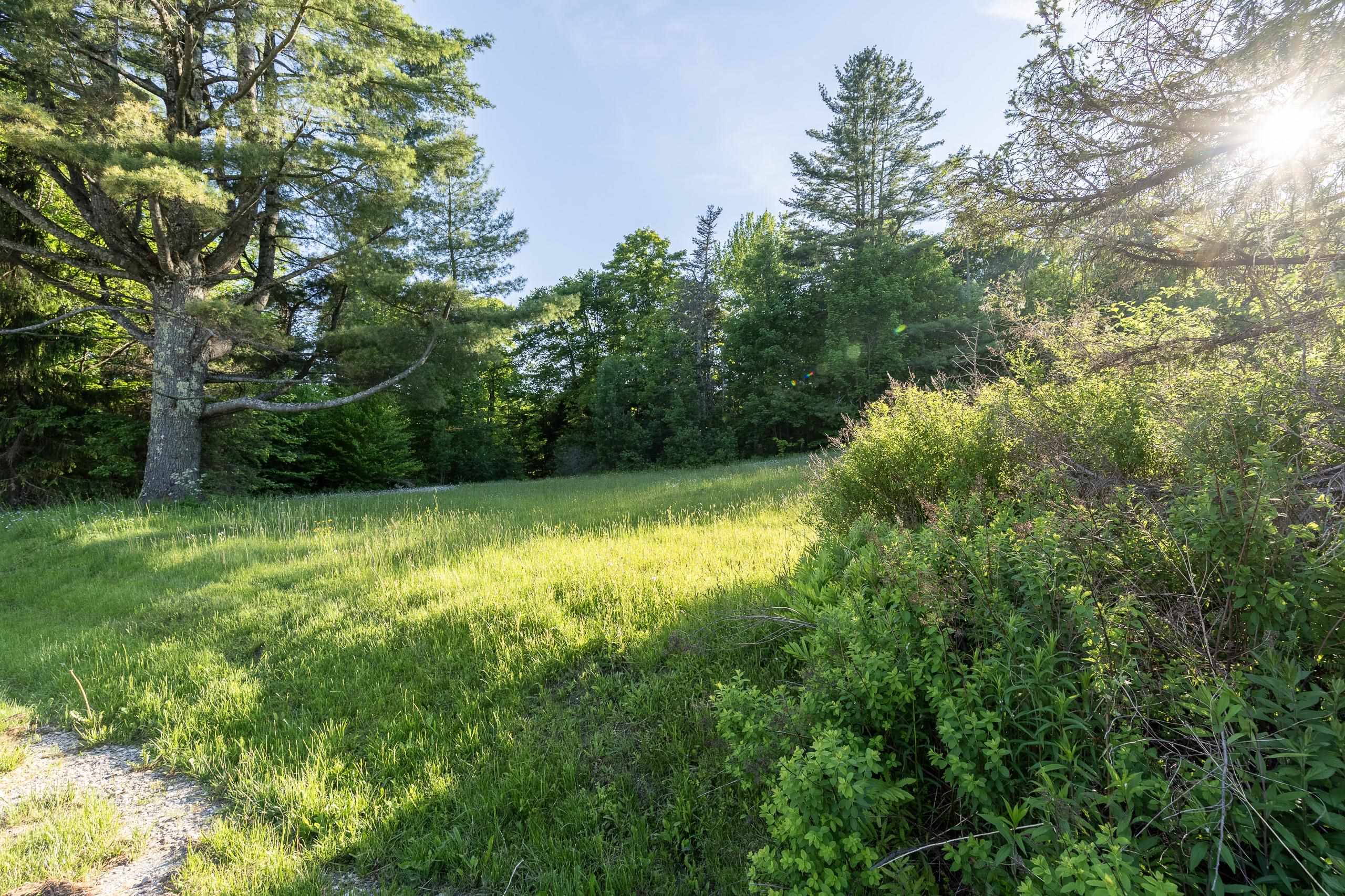 1678 Killington Road Property Photo 5