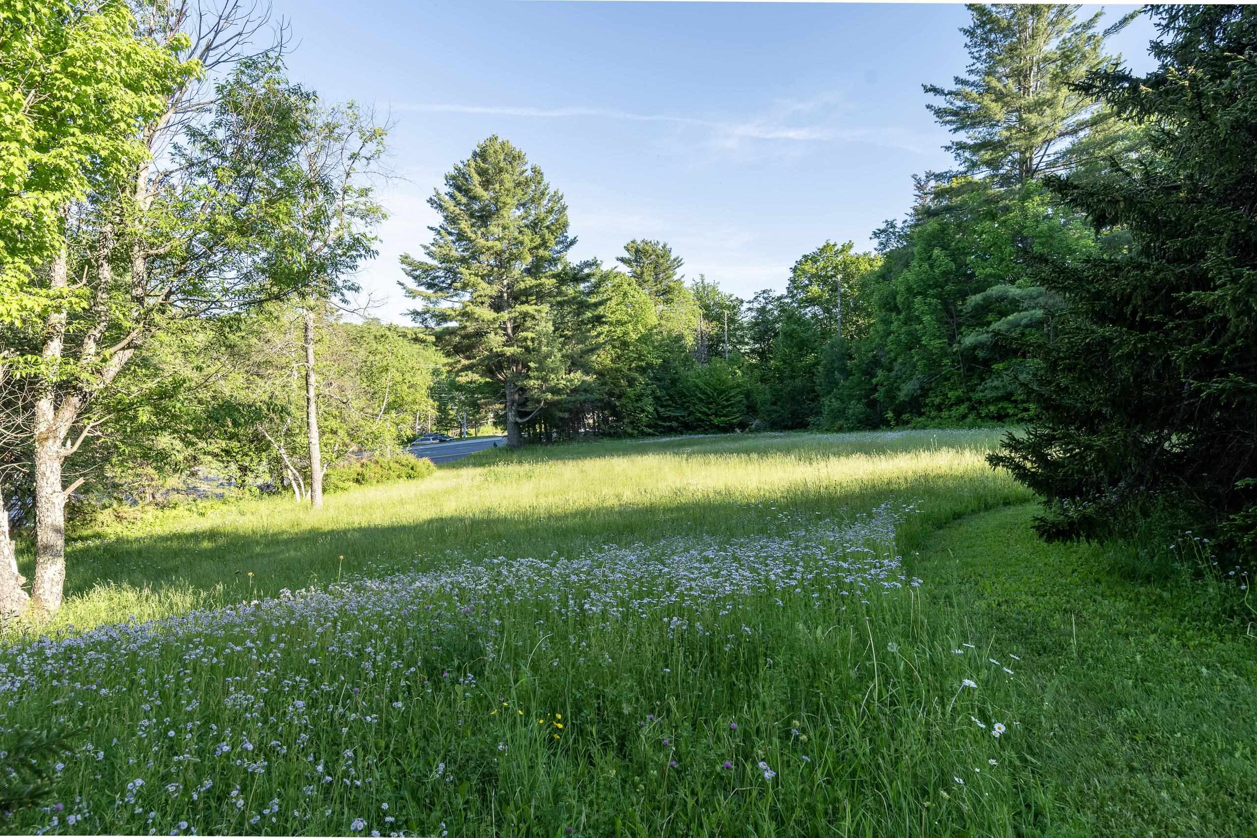 1678 Killington Road Property Photo 6