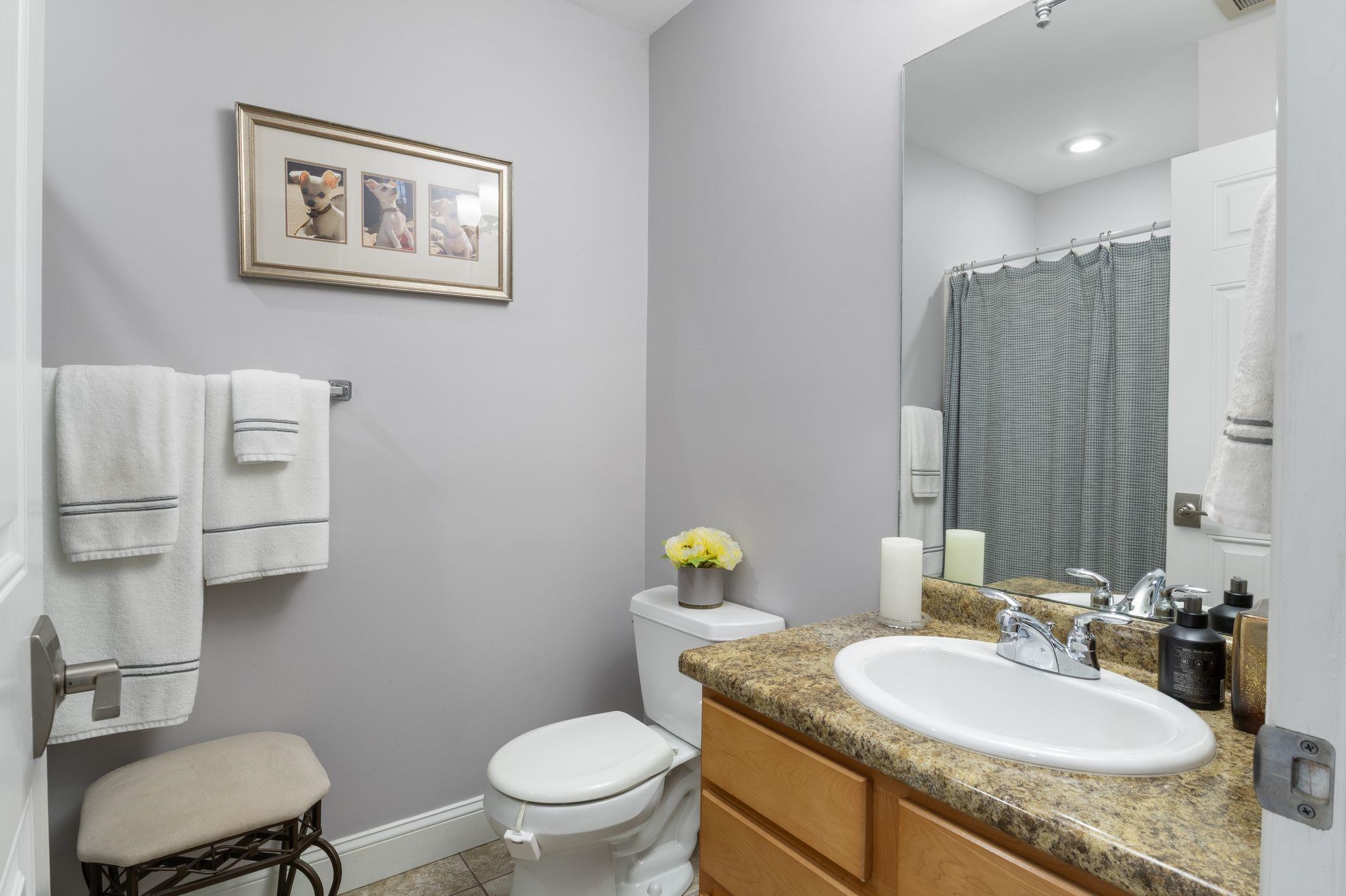 43 Cornwall Street Property Photo 24