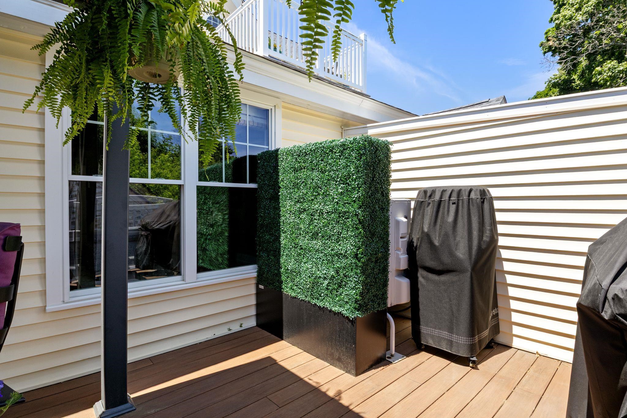 43 Cornwall Street Property Photo 30