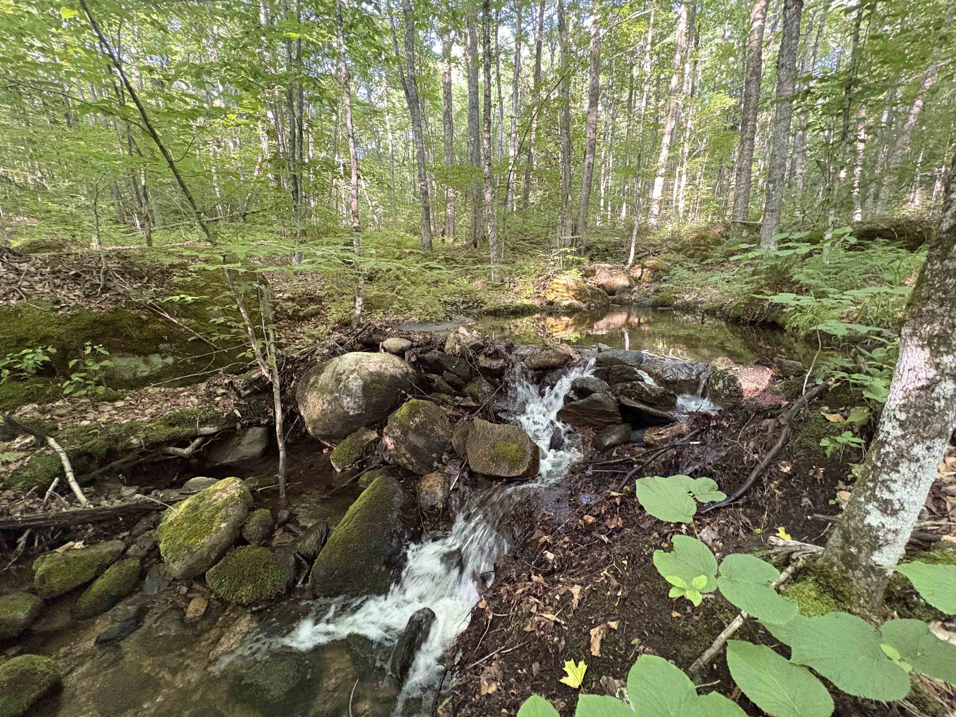 900 Wilderness Drive Property Photo 33