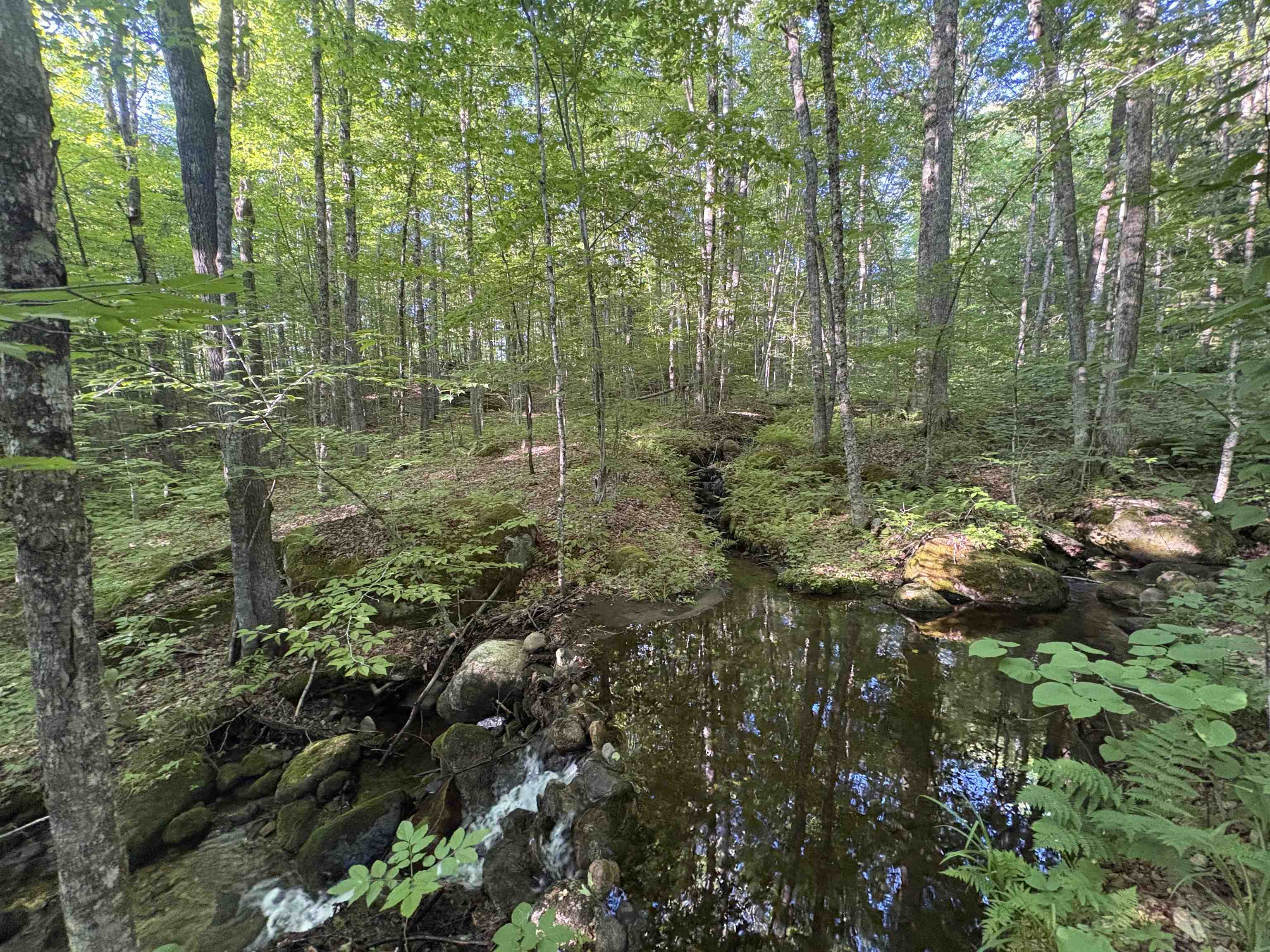 900 Wilderness Drive Property Photo 35