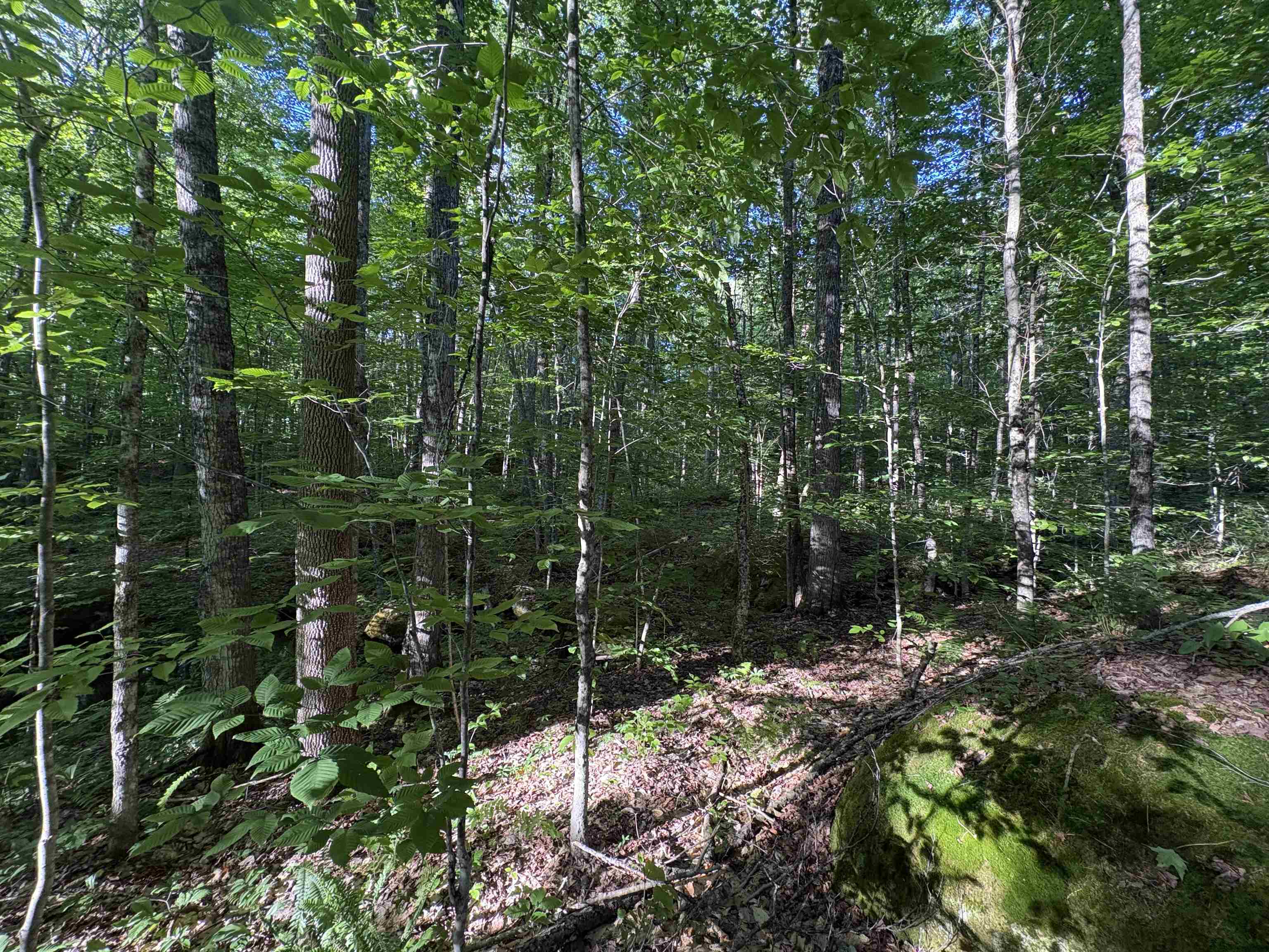 900 Wilderness Drive Property Photo 36