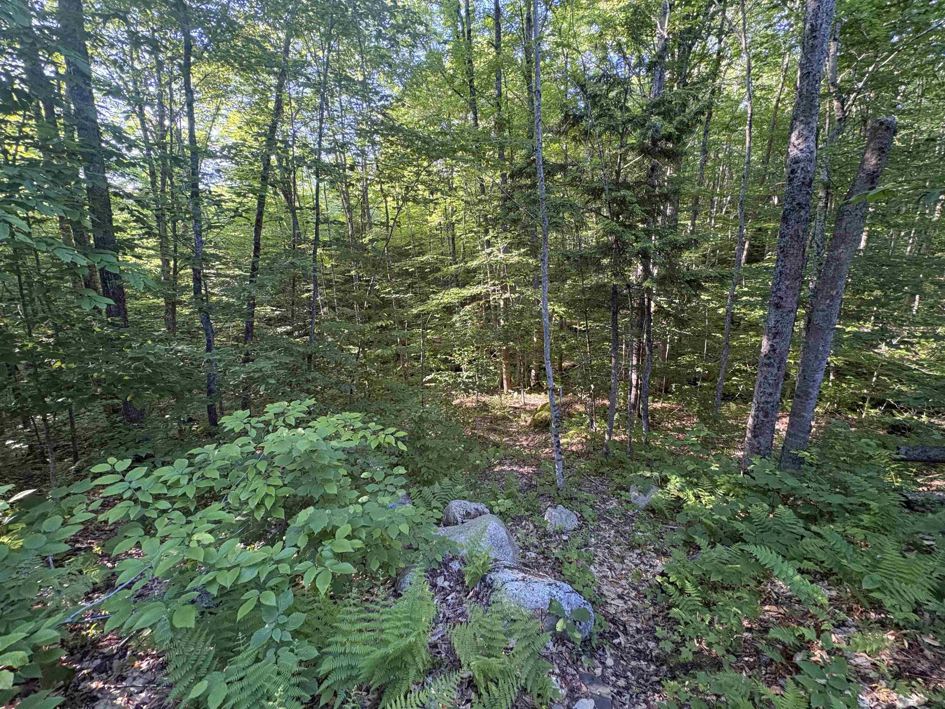 900 Wilderness Drive Property Photo 38