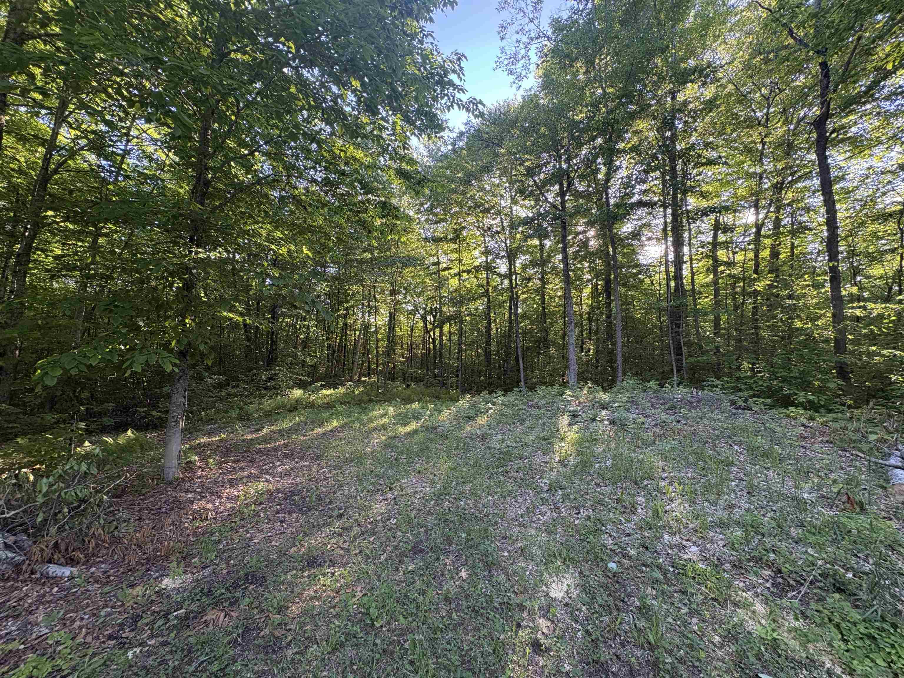 900 Wilderness Drive Property Photo 39