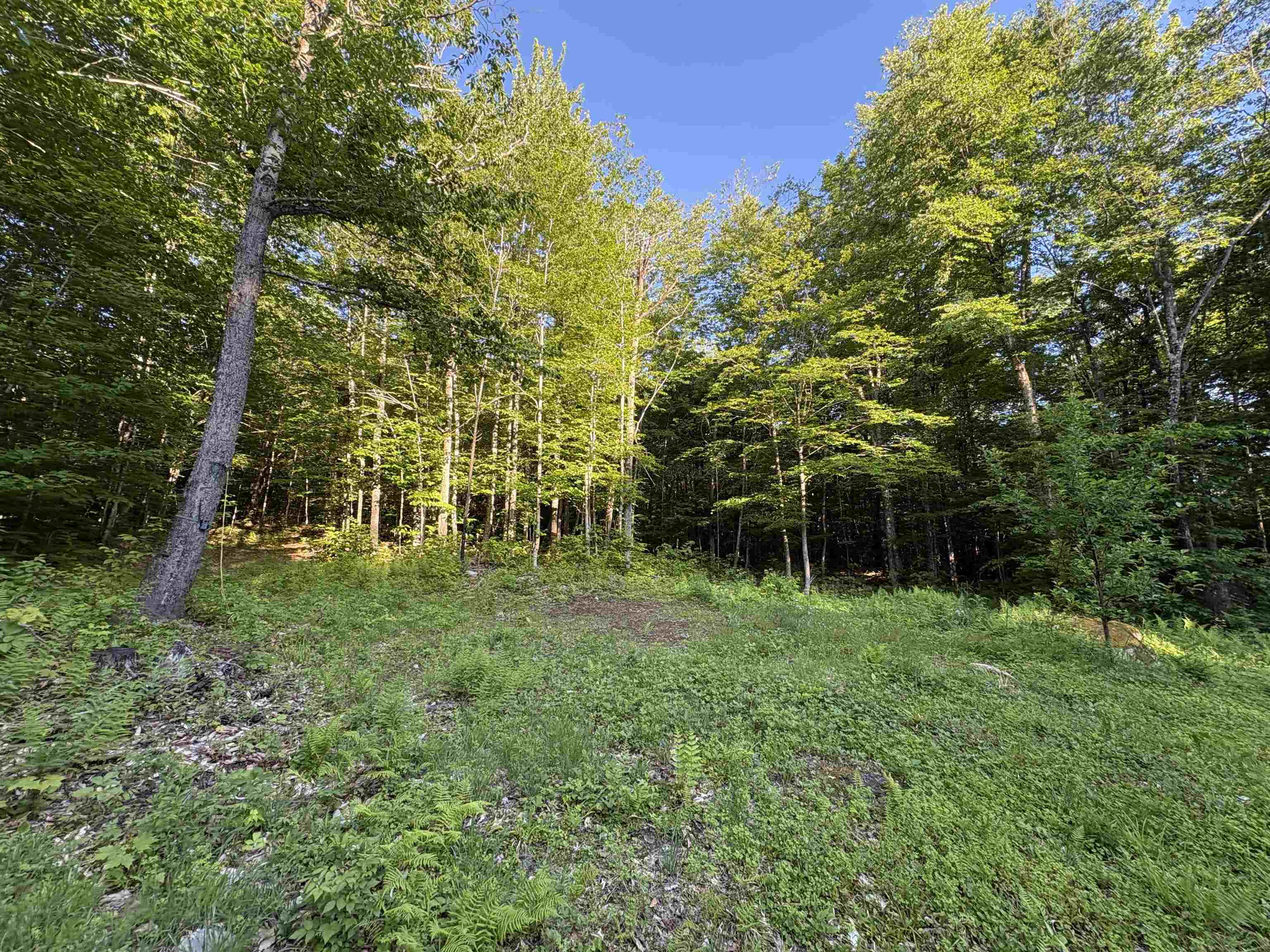 900 Wilderness Drive Property Photo 42