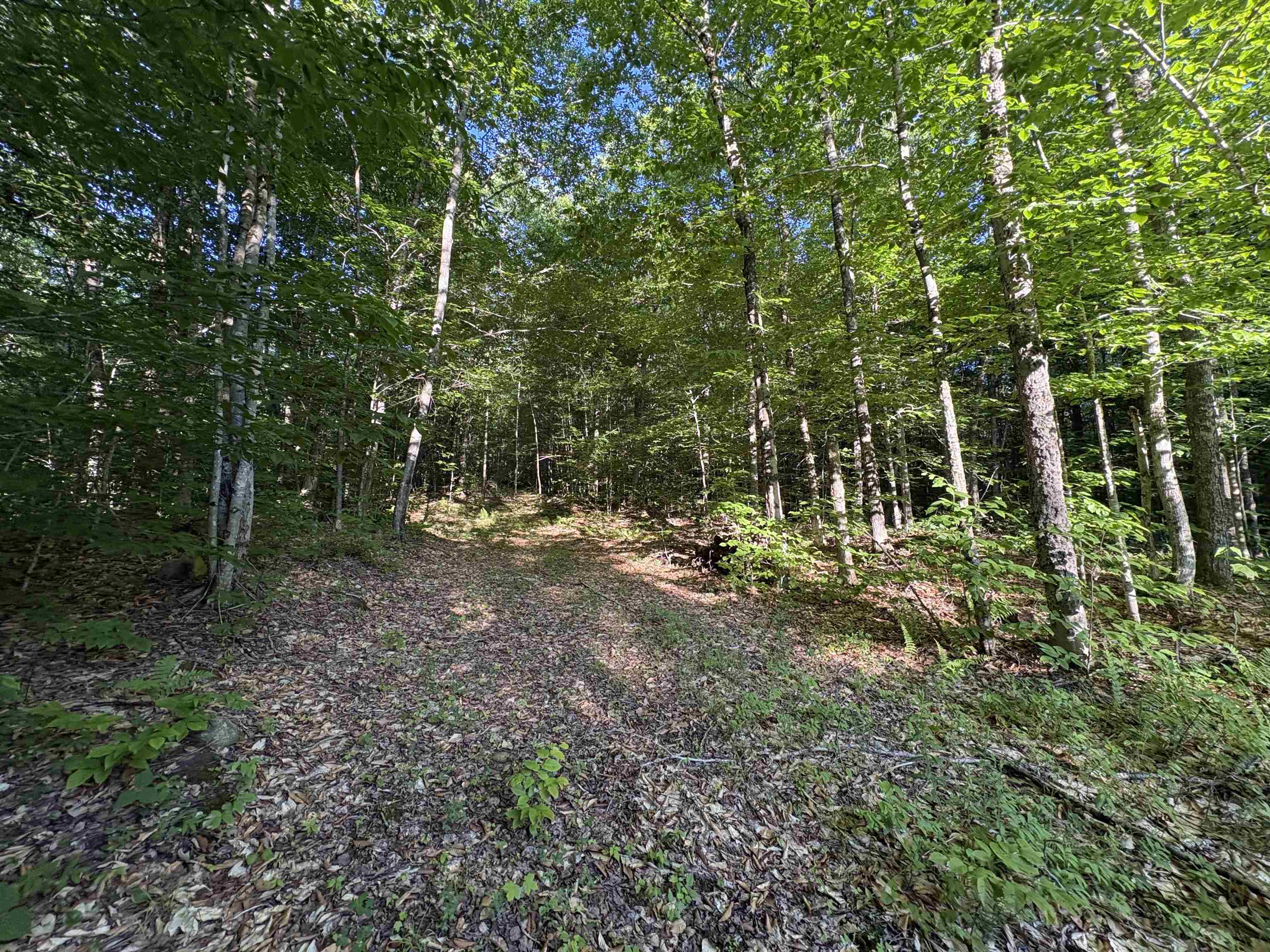 900 Wilderness Drive Property Photo 44