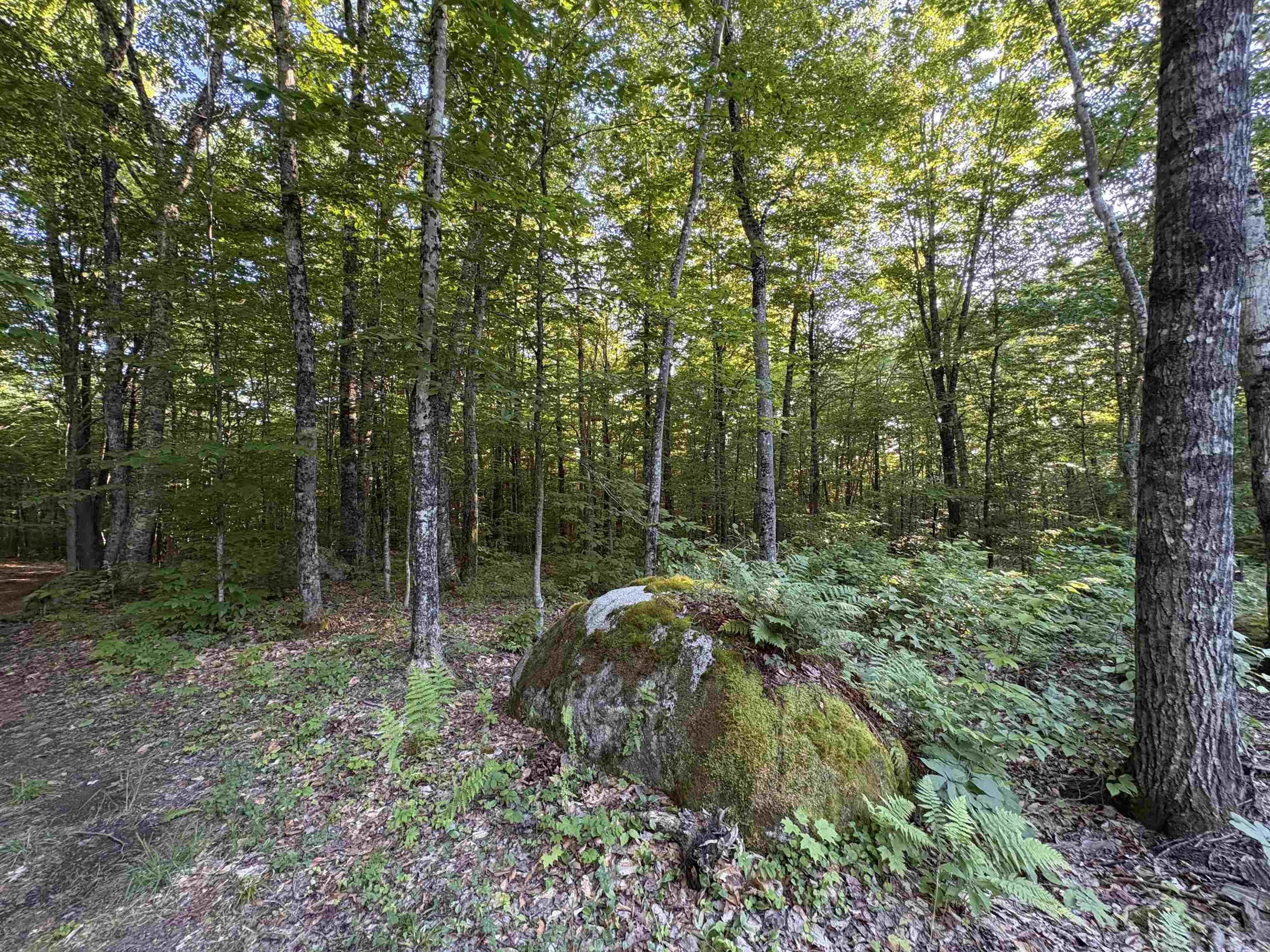 900 Wilderness Drive Property Photo 46