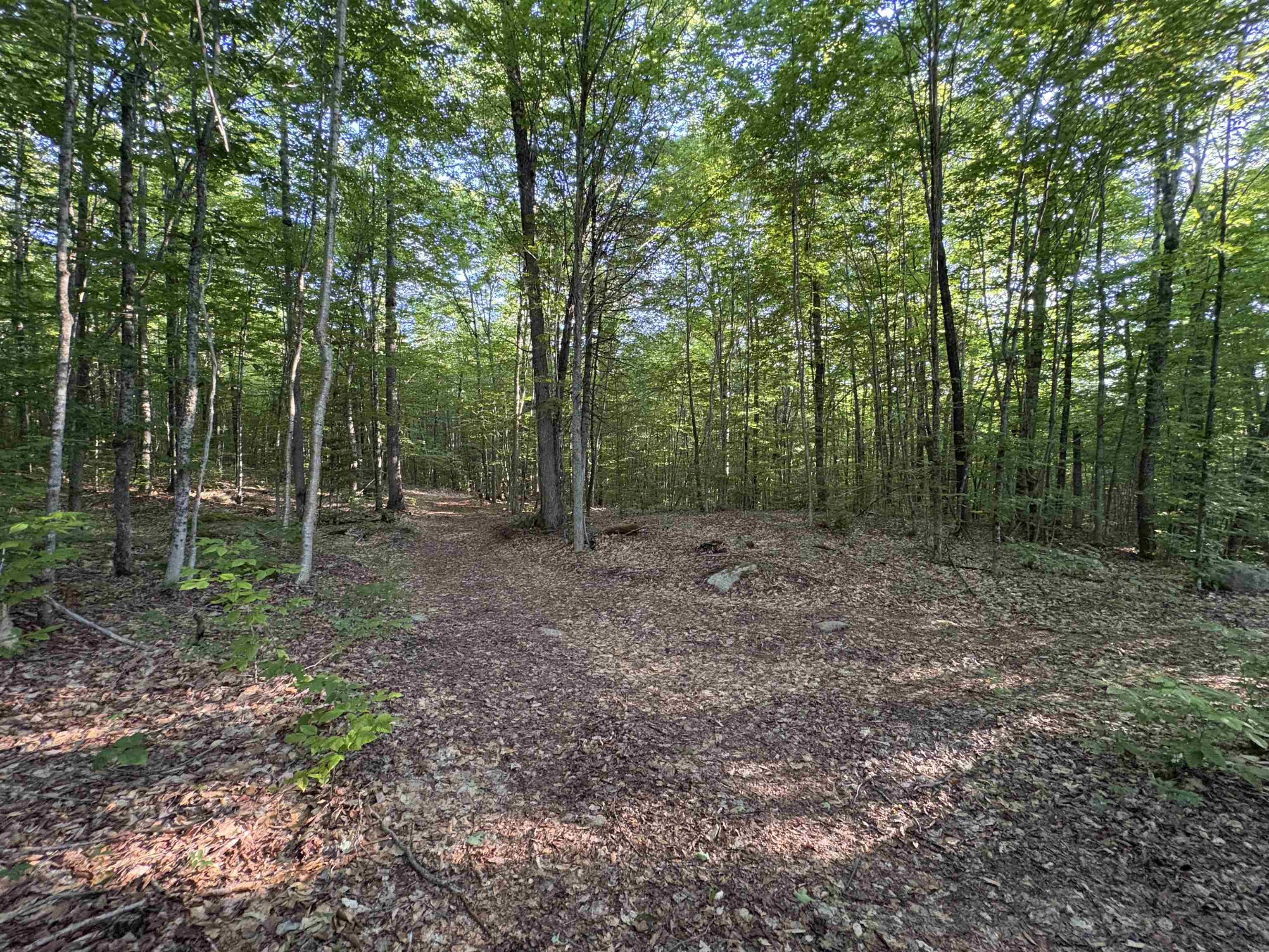 900 Wilderness Drive Property Photo 47