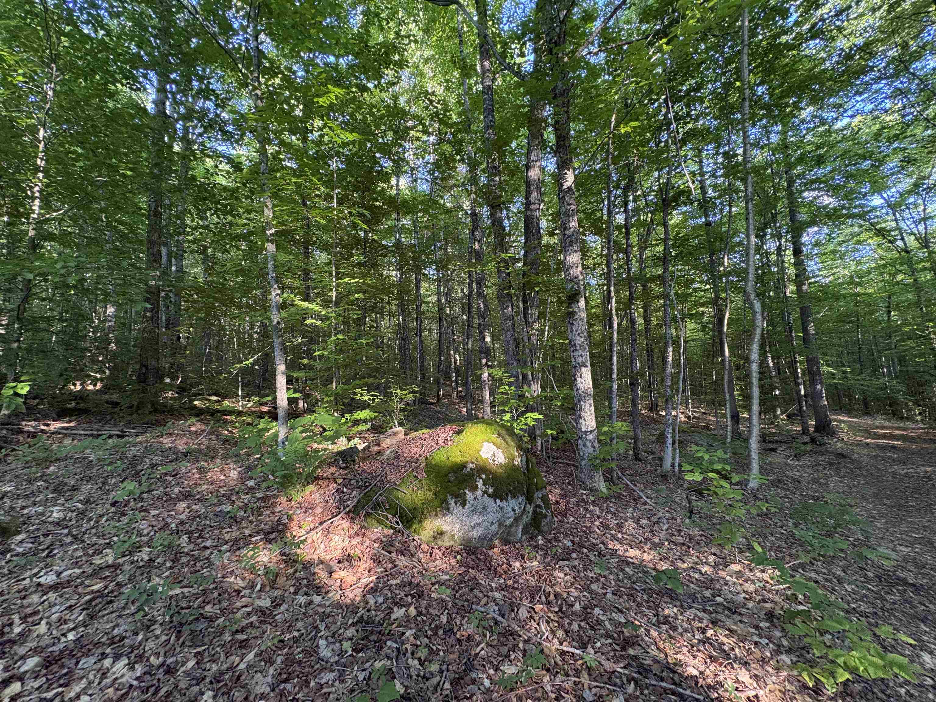 900 Wilderness Drive Property Photo 48