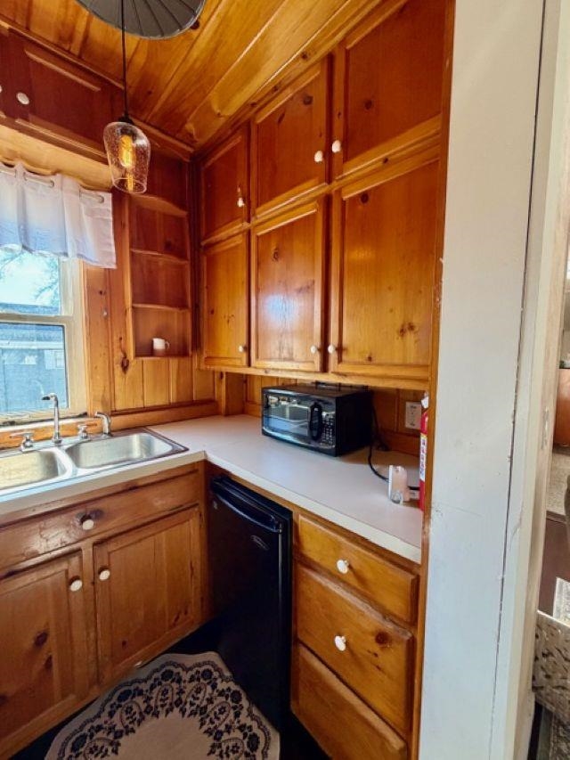 355 Willard Street Property Photo 22