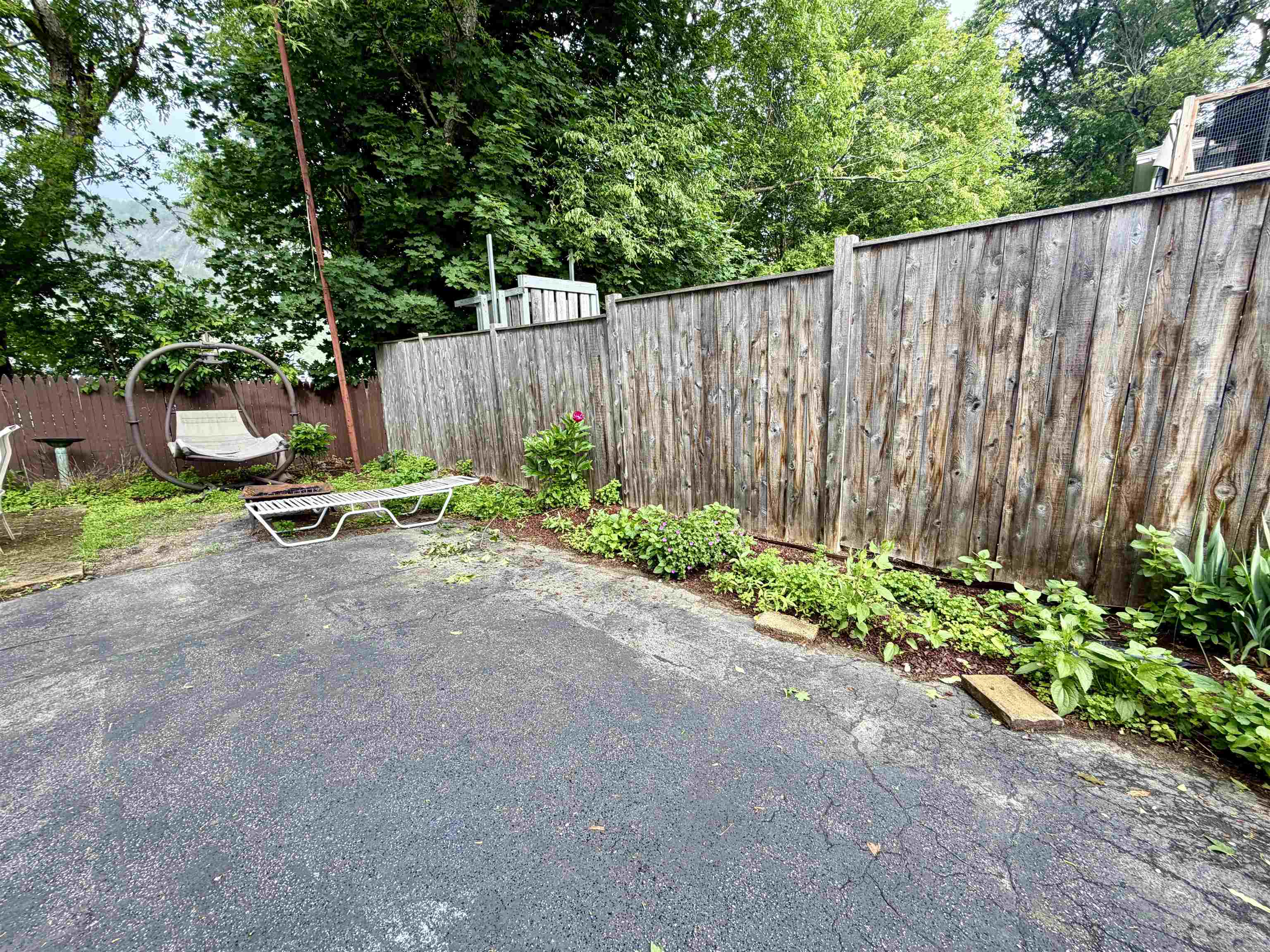 355 Willard Street Property Photo 36
