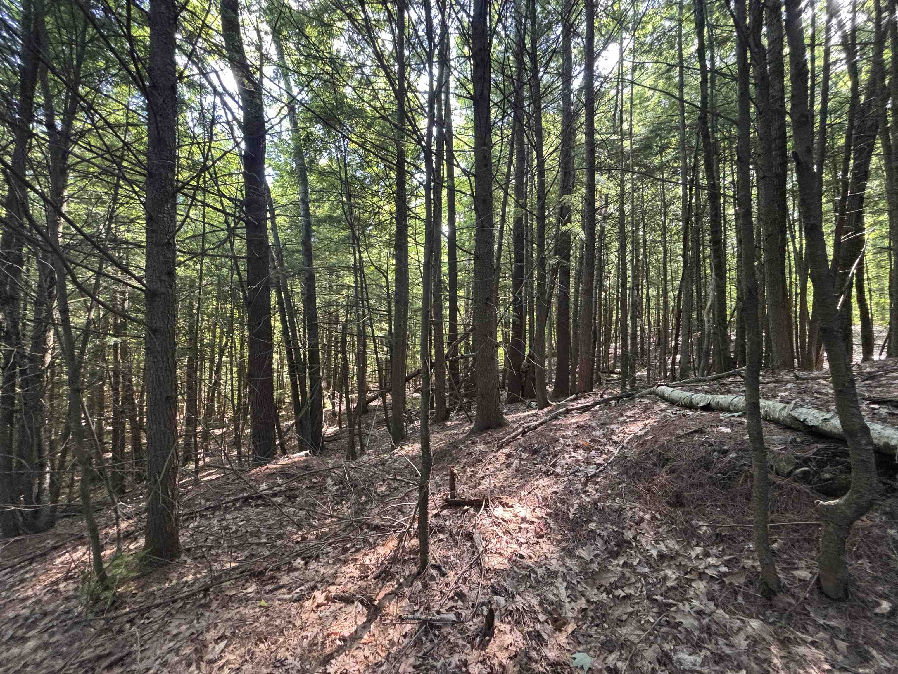 00 Windfall Road Property Photo 2